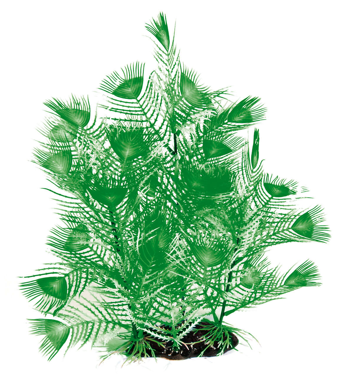 Amazonas Fantasy Plant AL grün