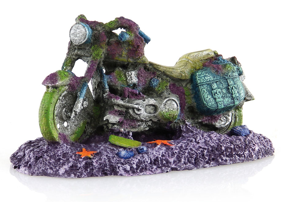 Amazonas Épave de moto