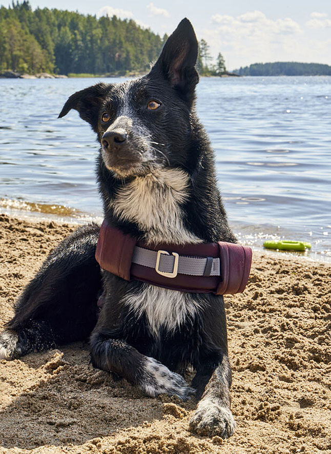 Hurtta Schwimmweste Life Savior ECO Rettungsweste: XXL, 30-40kg