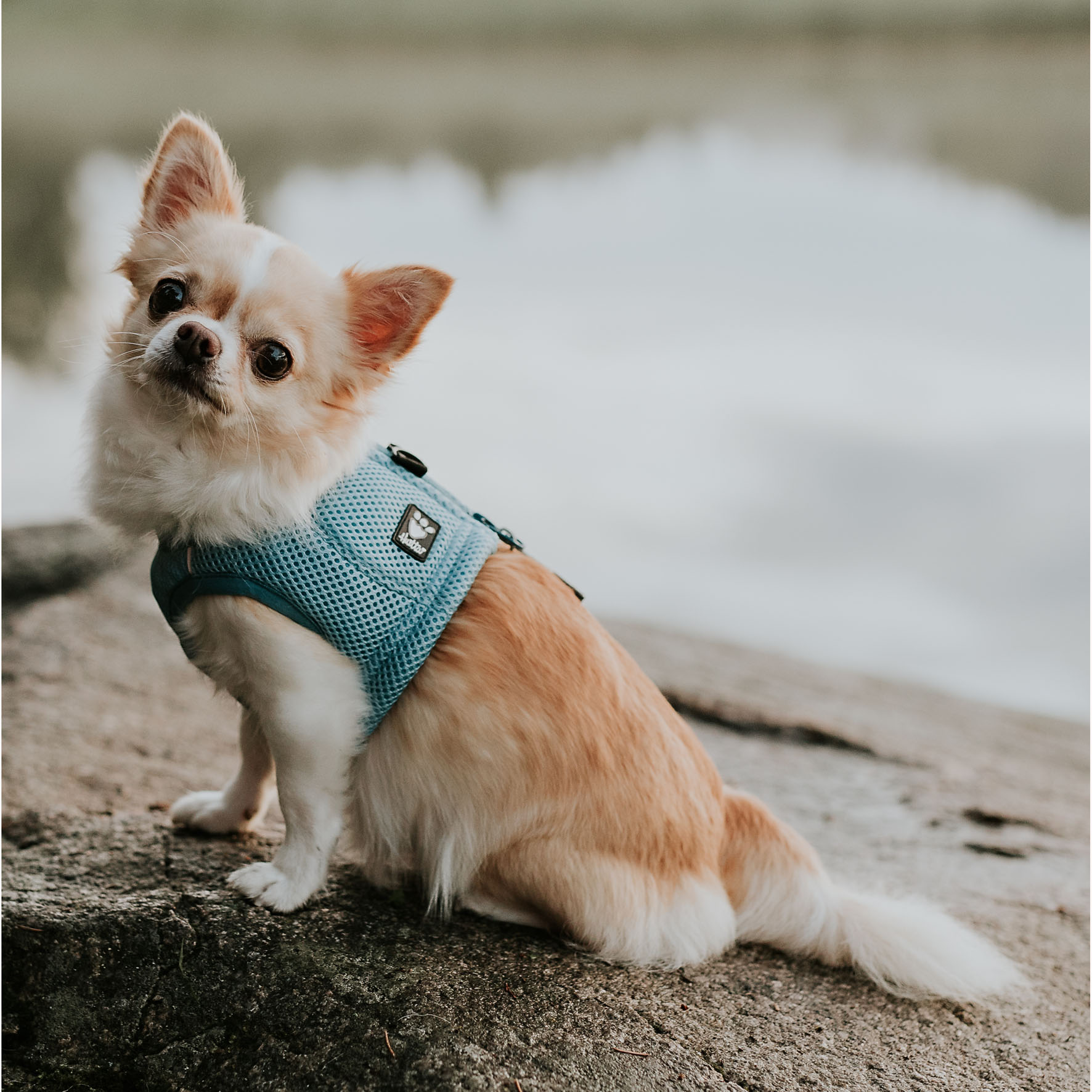 Hurtta Kühlweste, hellblau