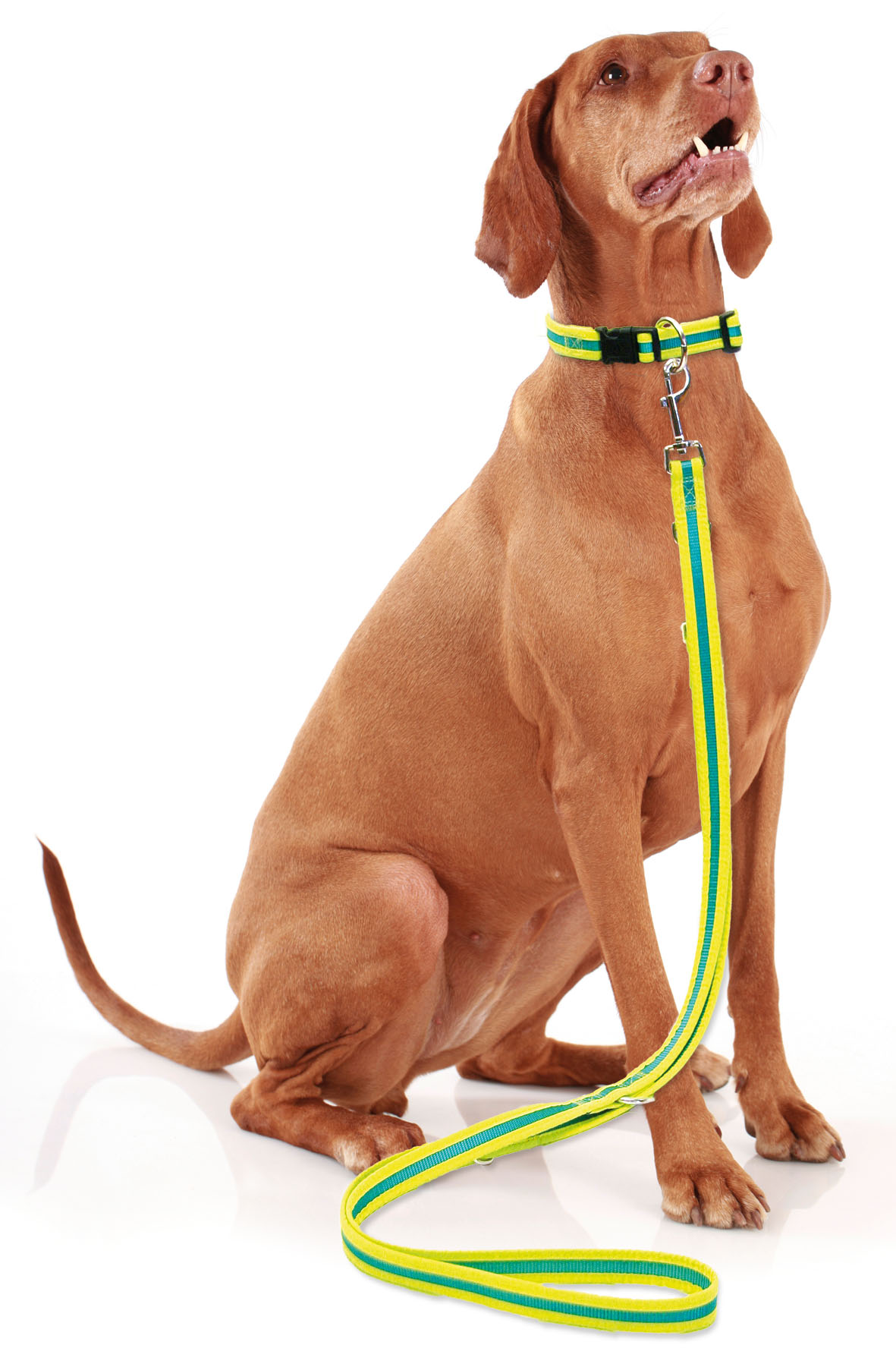 SportLine Reflecto collier et laisse, 15mm/30-40cm