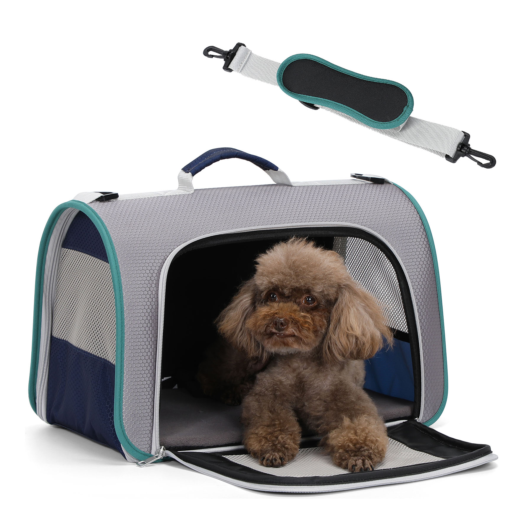 A4pet Borsa per trasporto gatti e cani, M, 43x26.5x26 cm