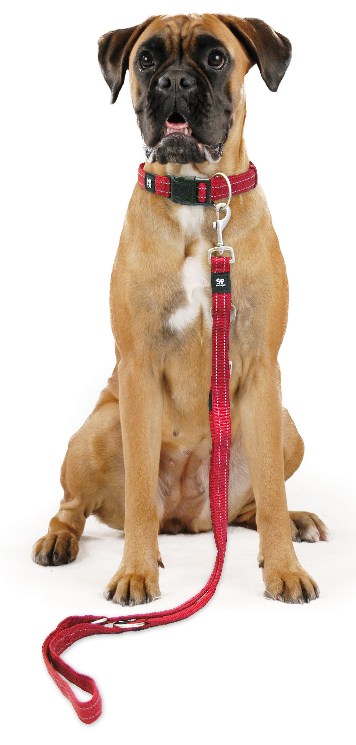 swisspet SportLine Hunde Halsband, rot, 15mm/26-40cm