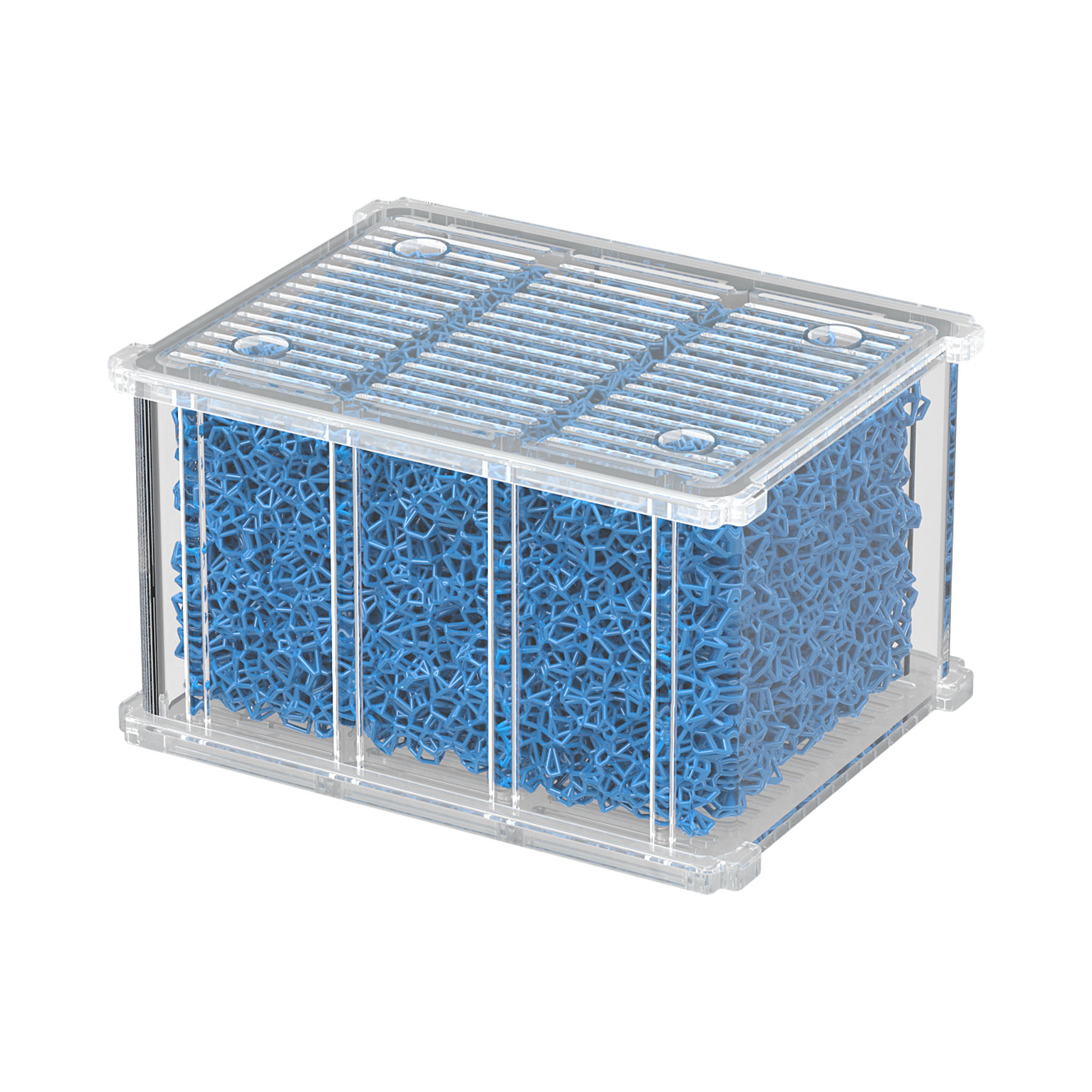 Aquatlantis Easybox Coarse Foam XS