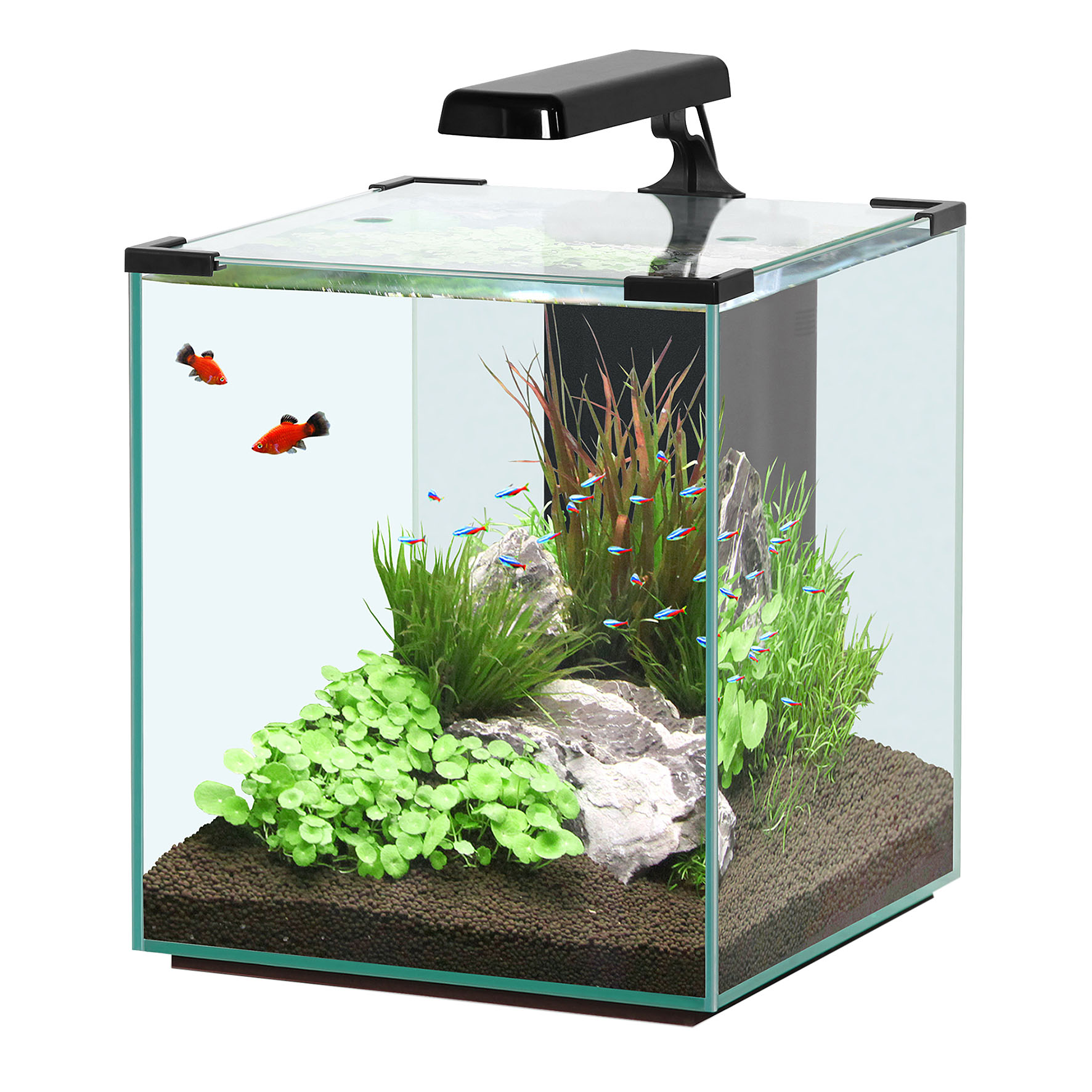Aquatlantis Nano Cubic 40 Aquarium LED, schwarz