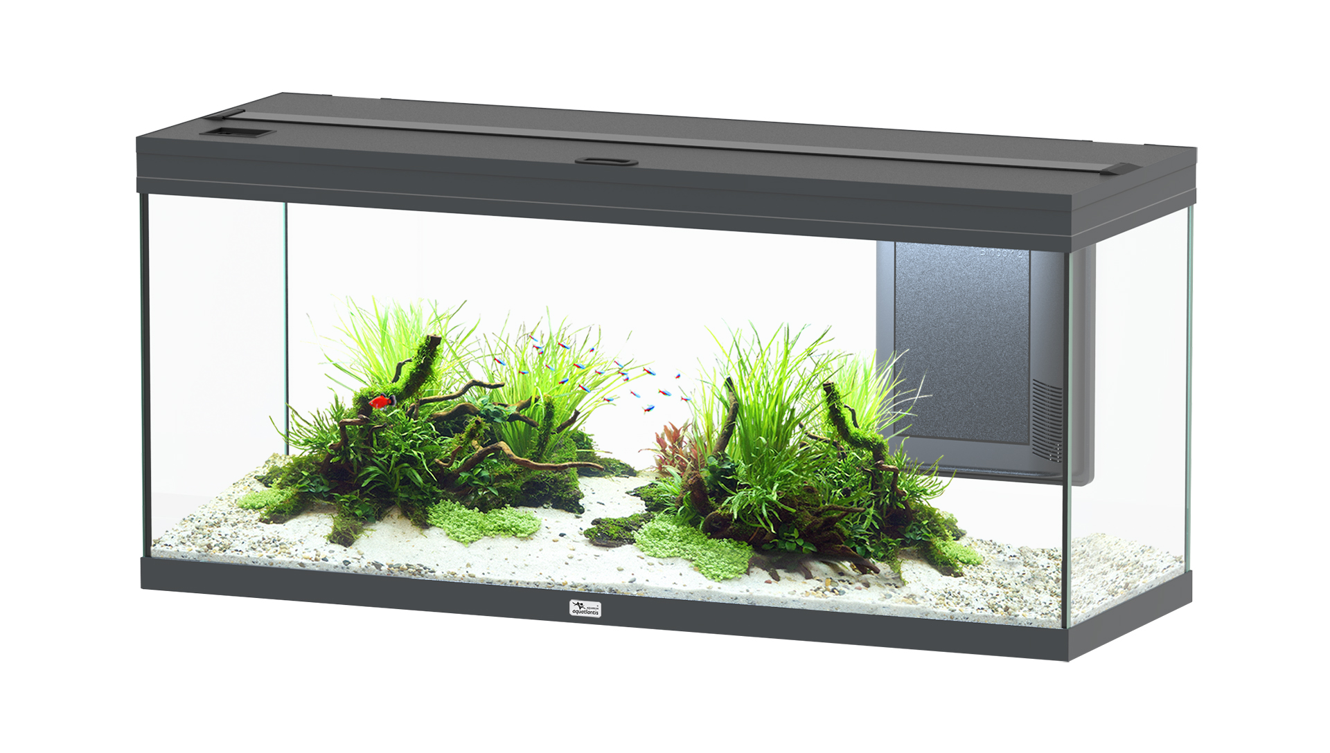 Aquatlantis Aquarium Volga 240 grau