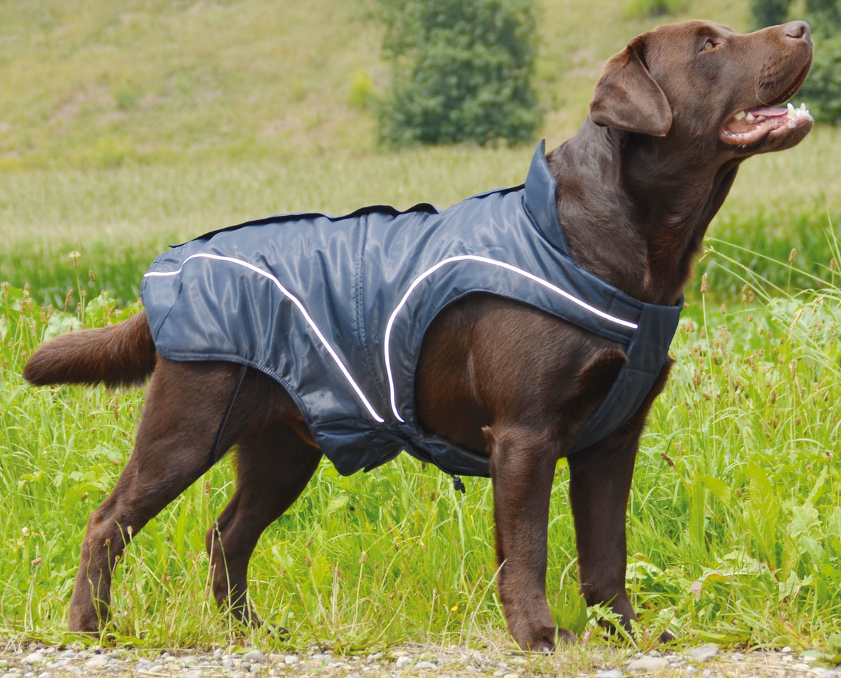 swisspet climaro Hunde-Winterjacke, schwarz