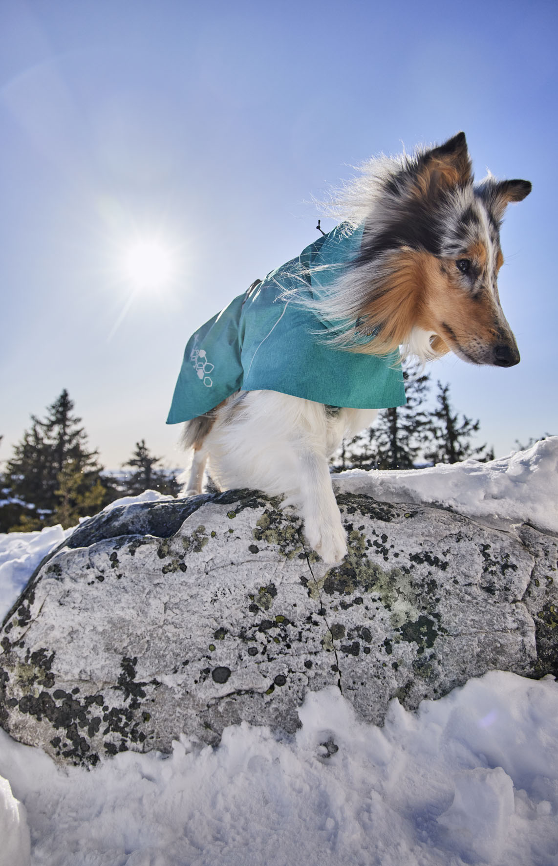 Hurtta Monsoon Coat ECO pavone Taglia 23