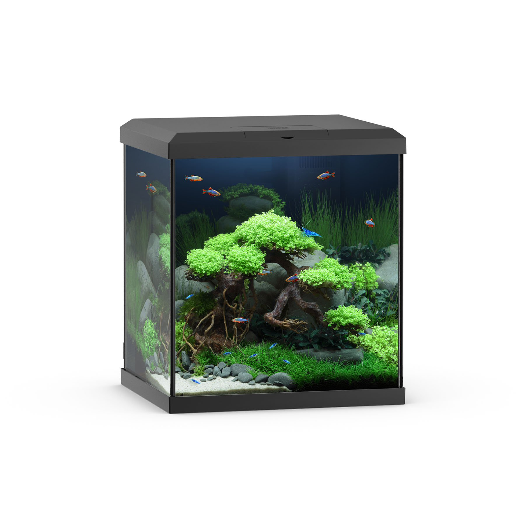 Juwel Aquarium Vio 54 LED – 5W, schwarz