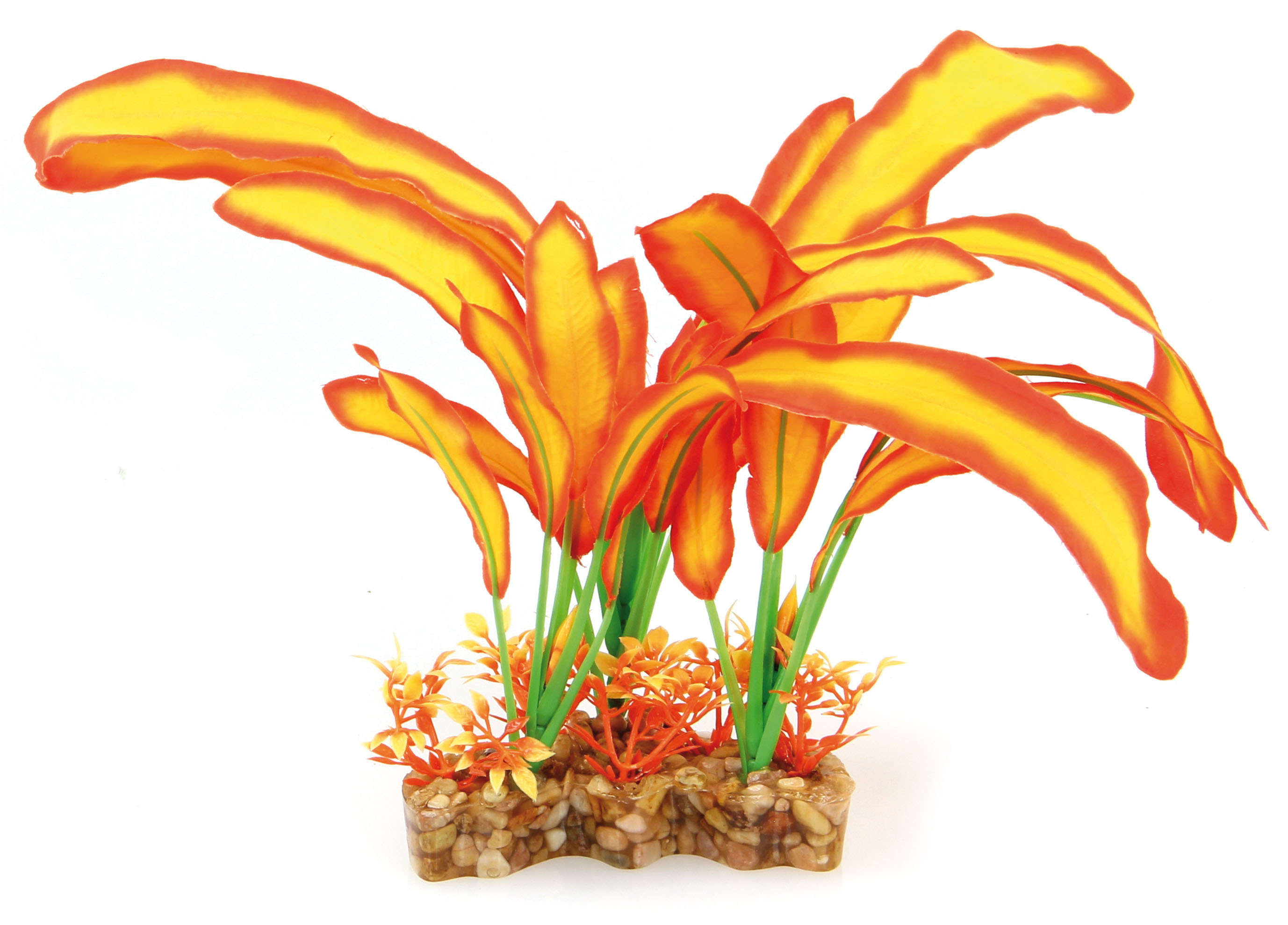 Amazonas Fantasy Plant VSB orange