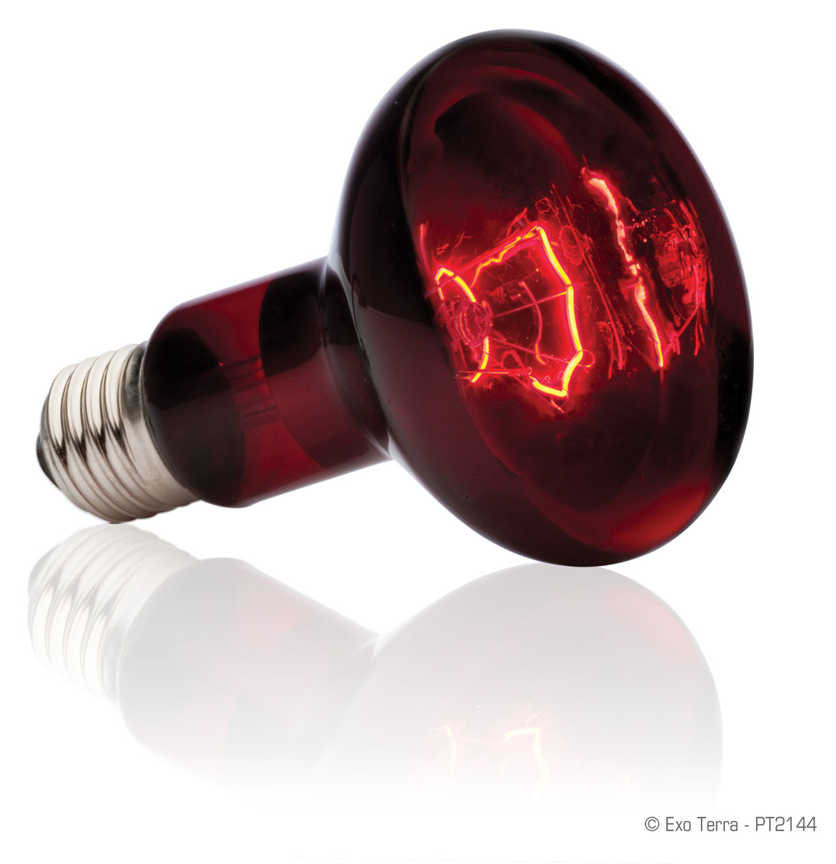 Exo Terra Lampe chauffante infrarouge 100W