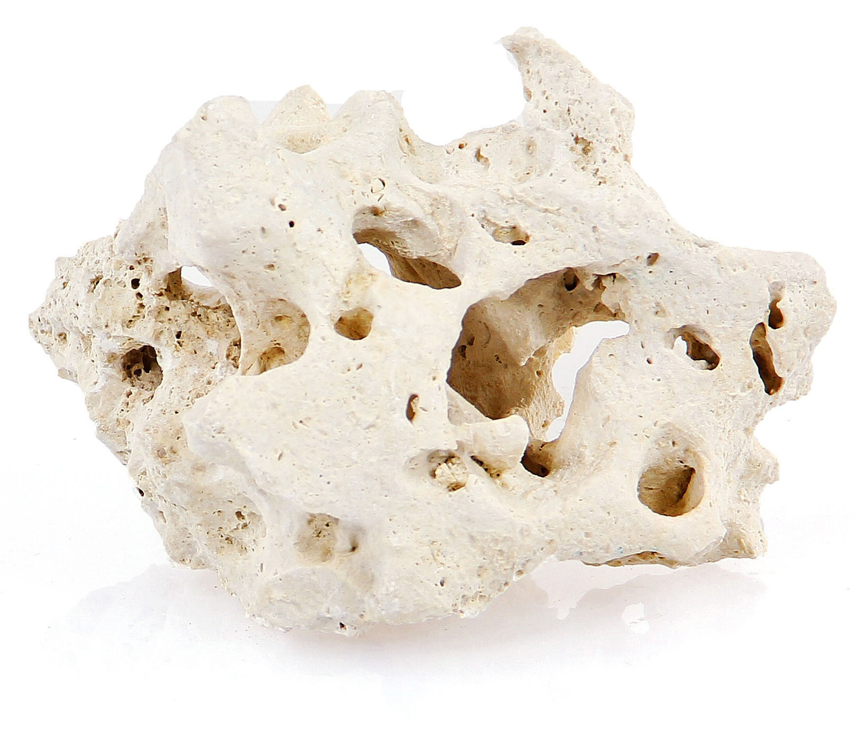 Amazonas Sansibar-Rock