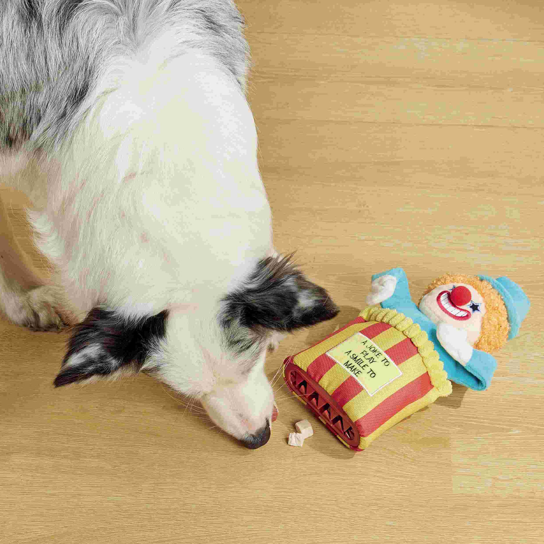 M-Pets Hundespielzeug Circus, 16 x 5,5 x 26 cm