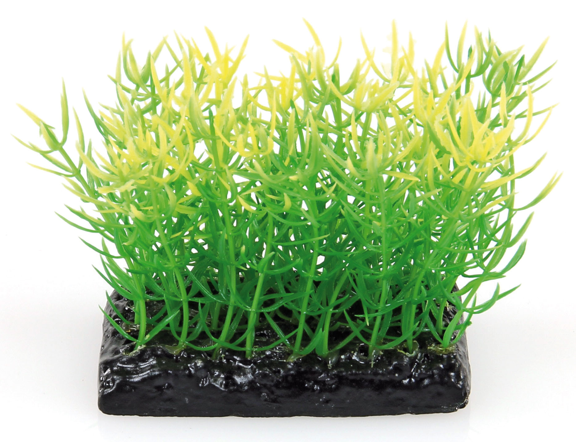 Amazonas Fantasy Plant PP grün-gelb Amazonas Fantasy Plant PP grün-gelb