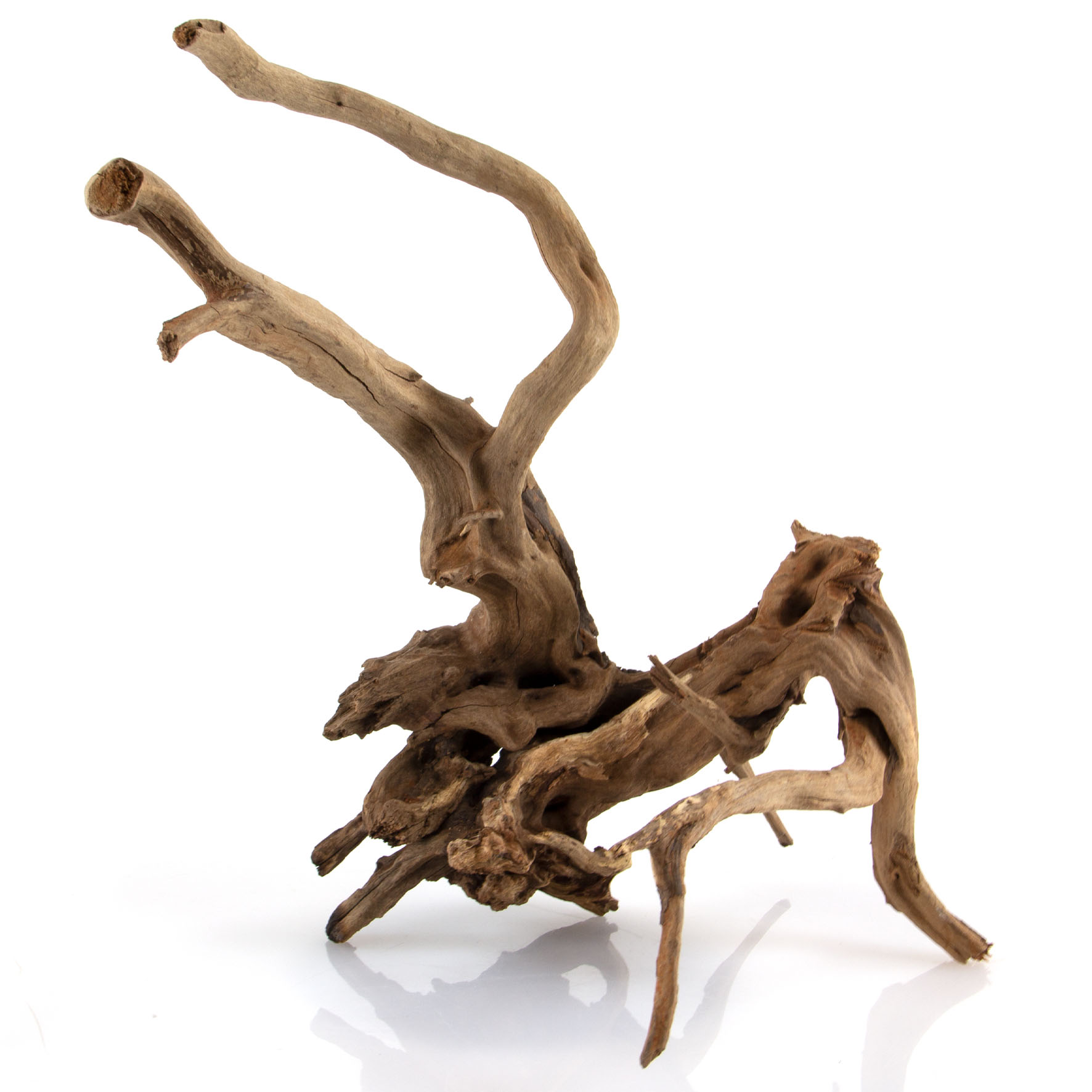 Black Slim Wurzel L - 40-50cm