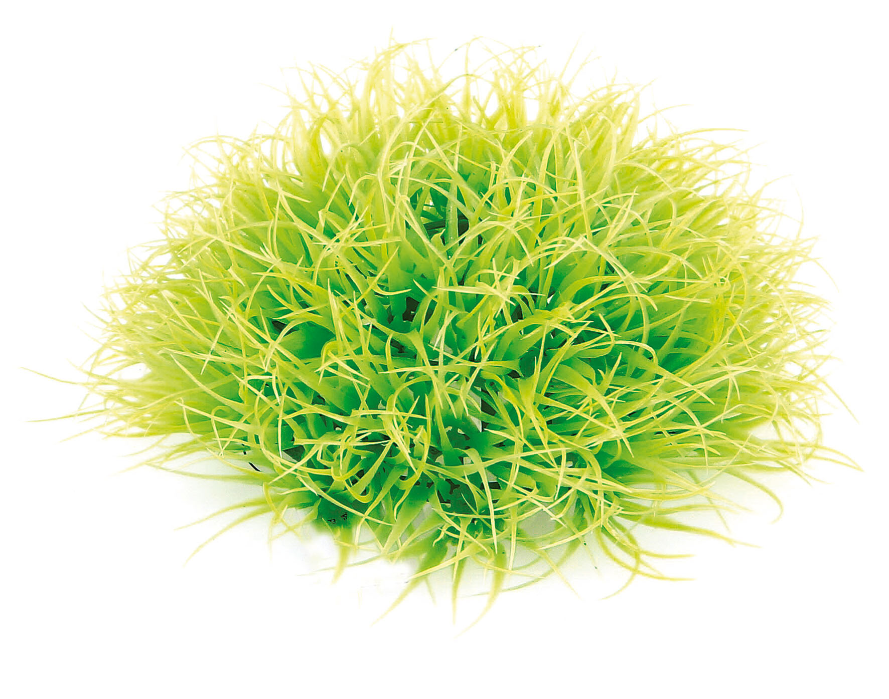 Fantasy Plant WH-78, ø19cm H=8.5cm, hellgrün