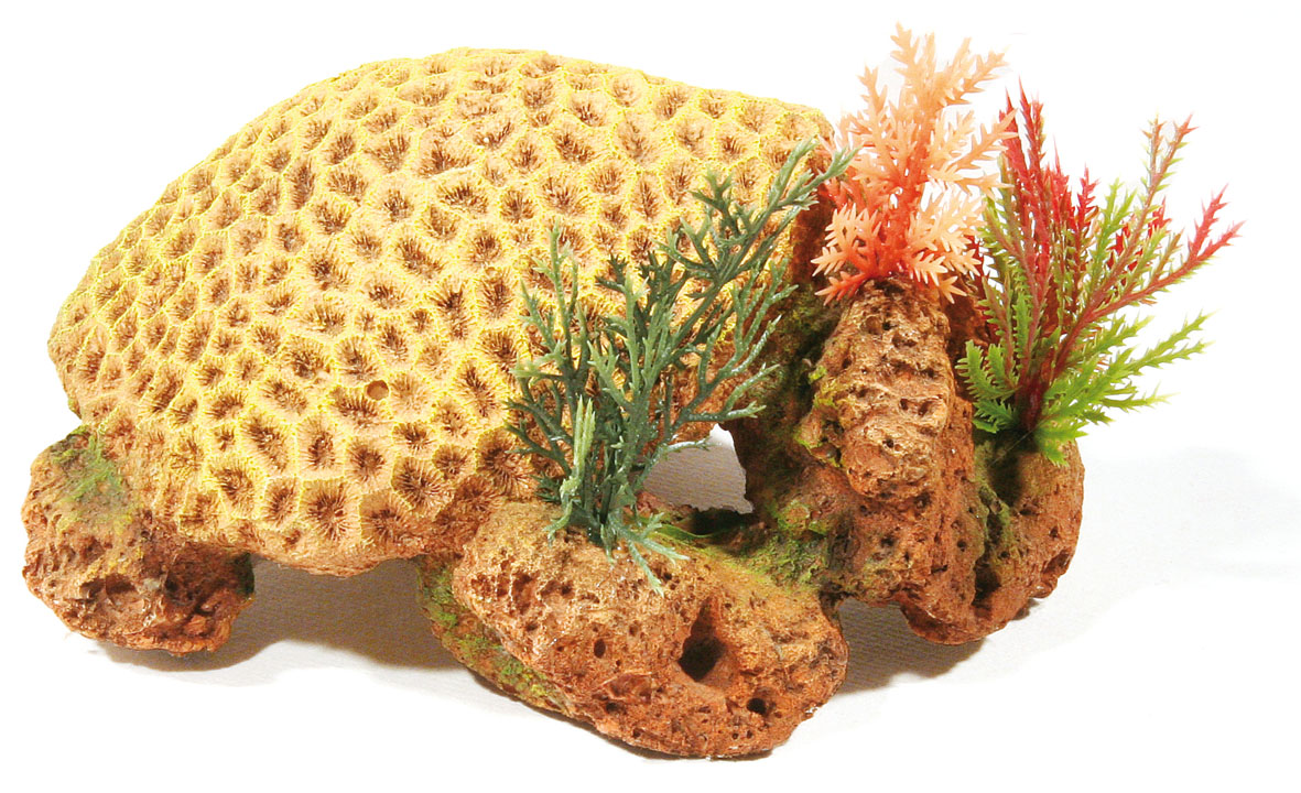 Barriera corallina Amazonas gialla