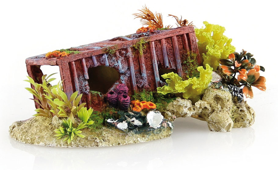 Amazonas Déco Container épave