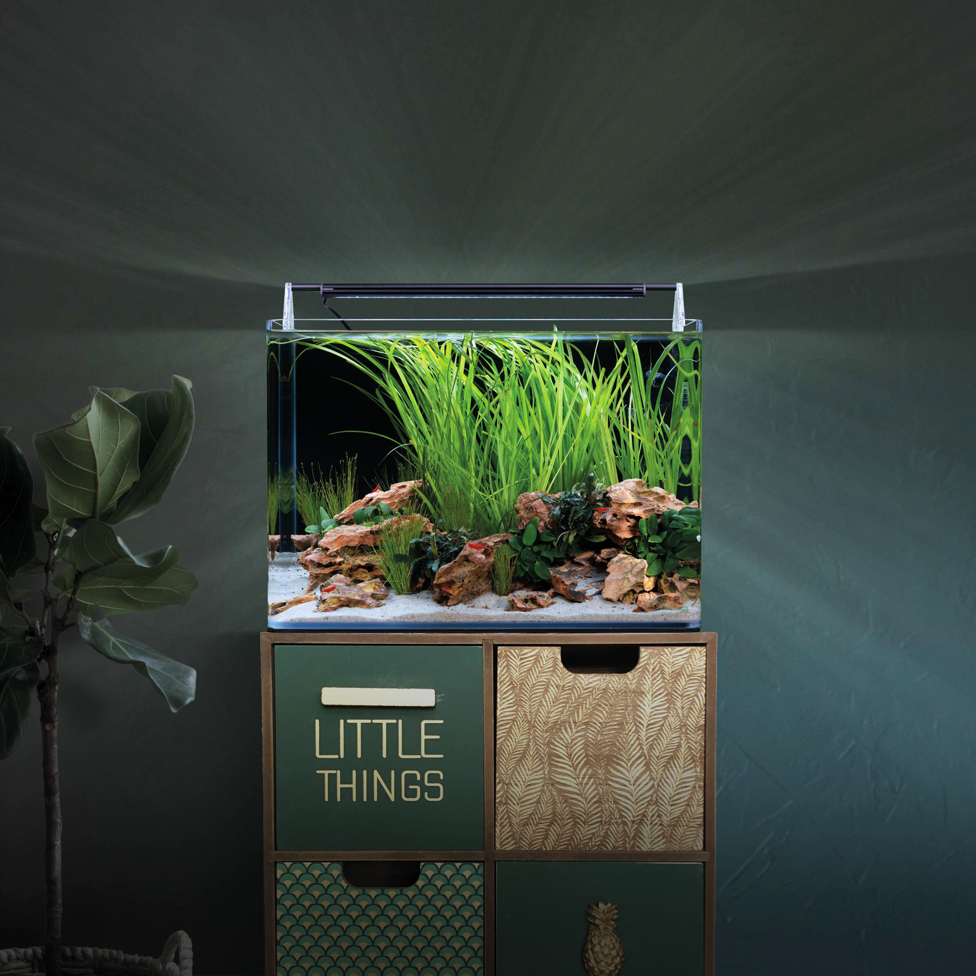 Dennerle Nano Tank Basic, 35L