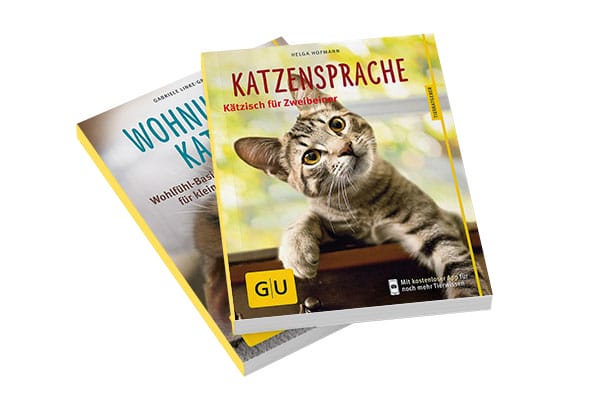 Katzenbücher