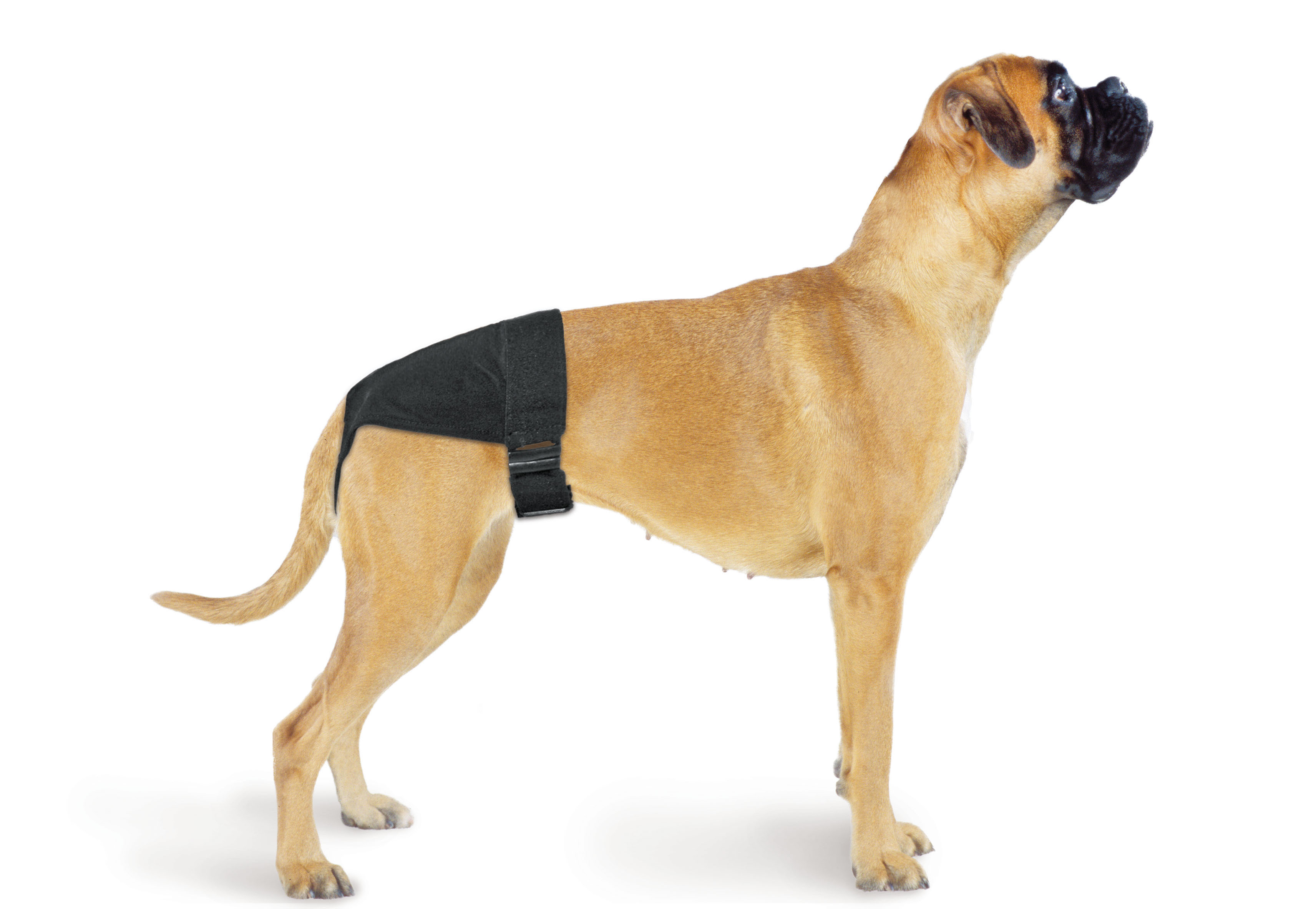 swisspet Hunde-Schutzhosen