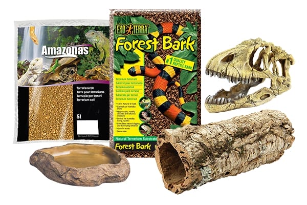 Terrarium Einrichtung