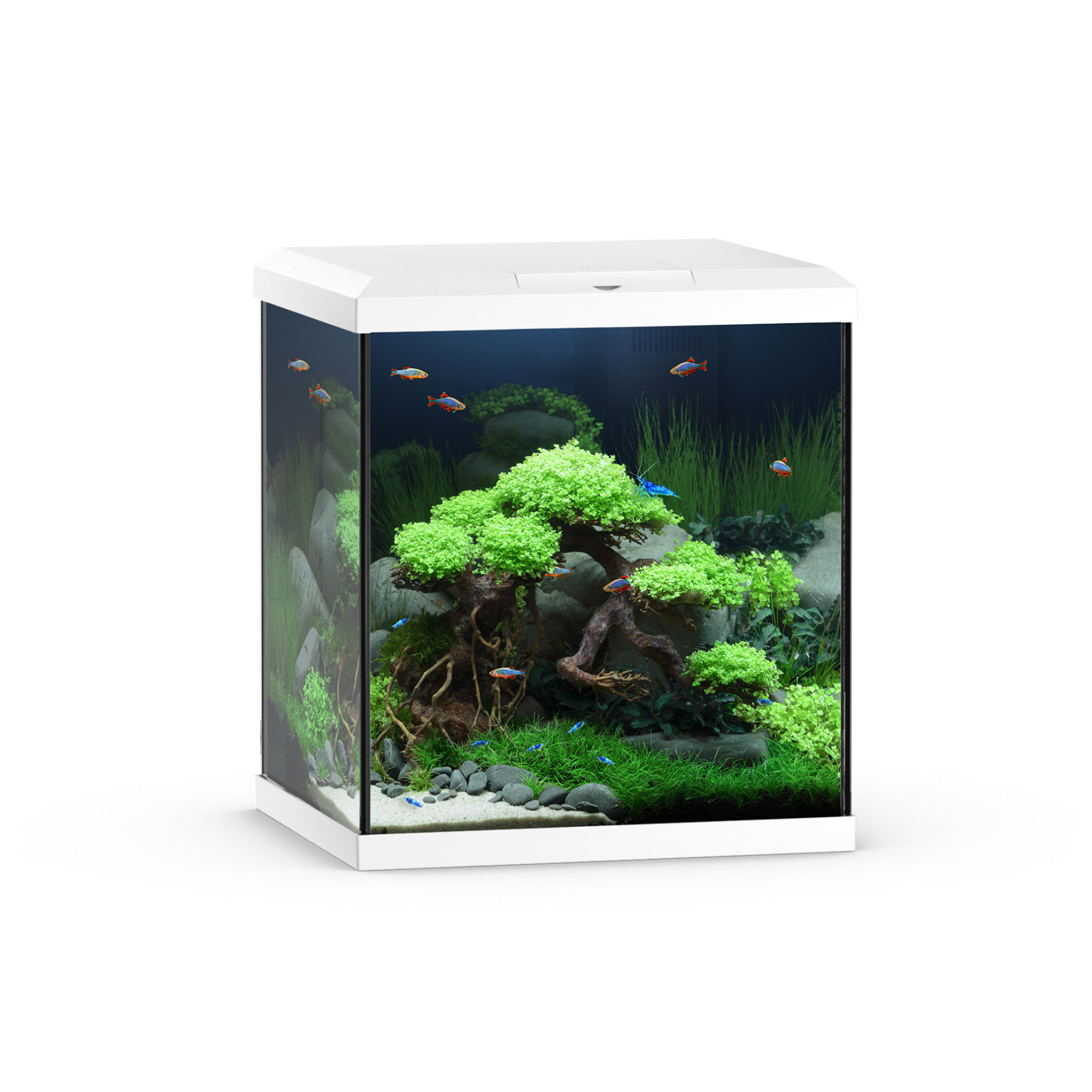 Juwel Aquarium Vio 54 LED – 5W, weiss