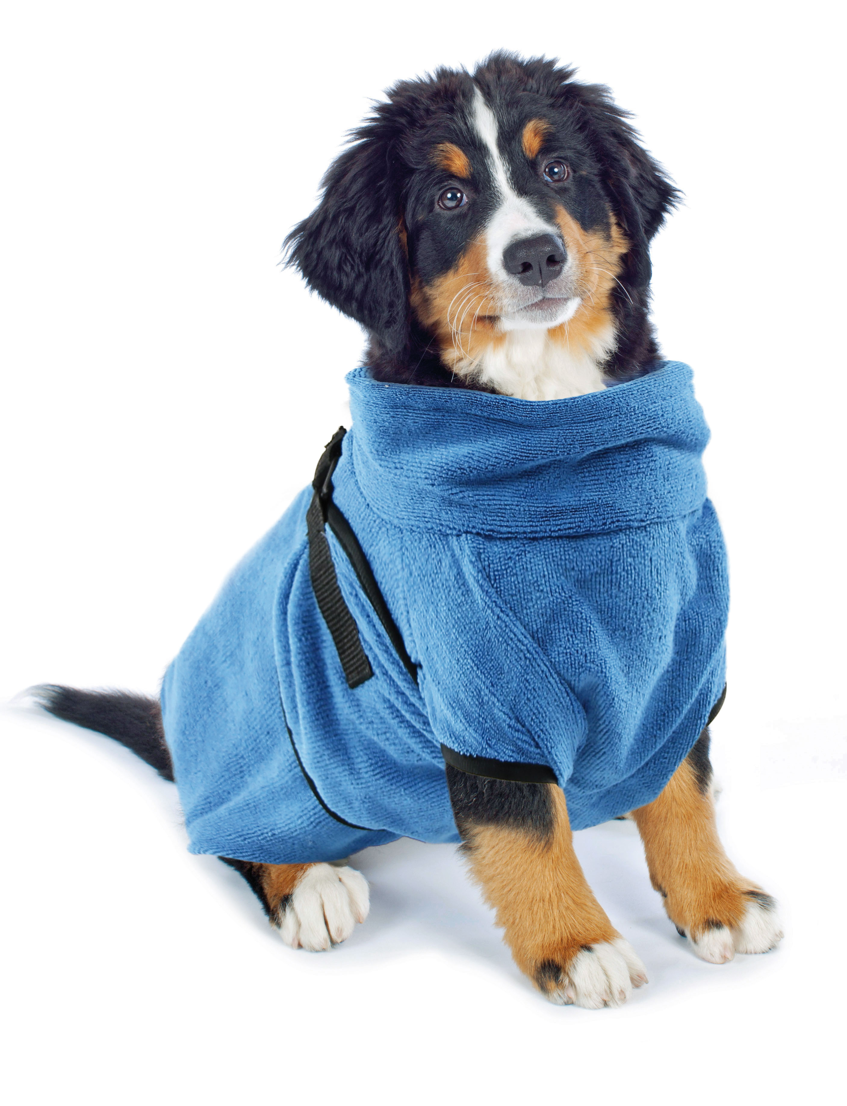 swisspet Hundebademäntel Wety XL