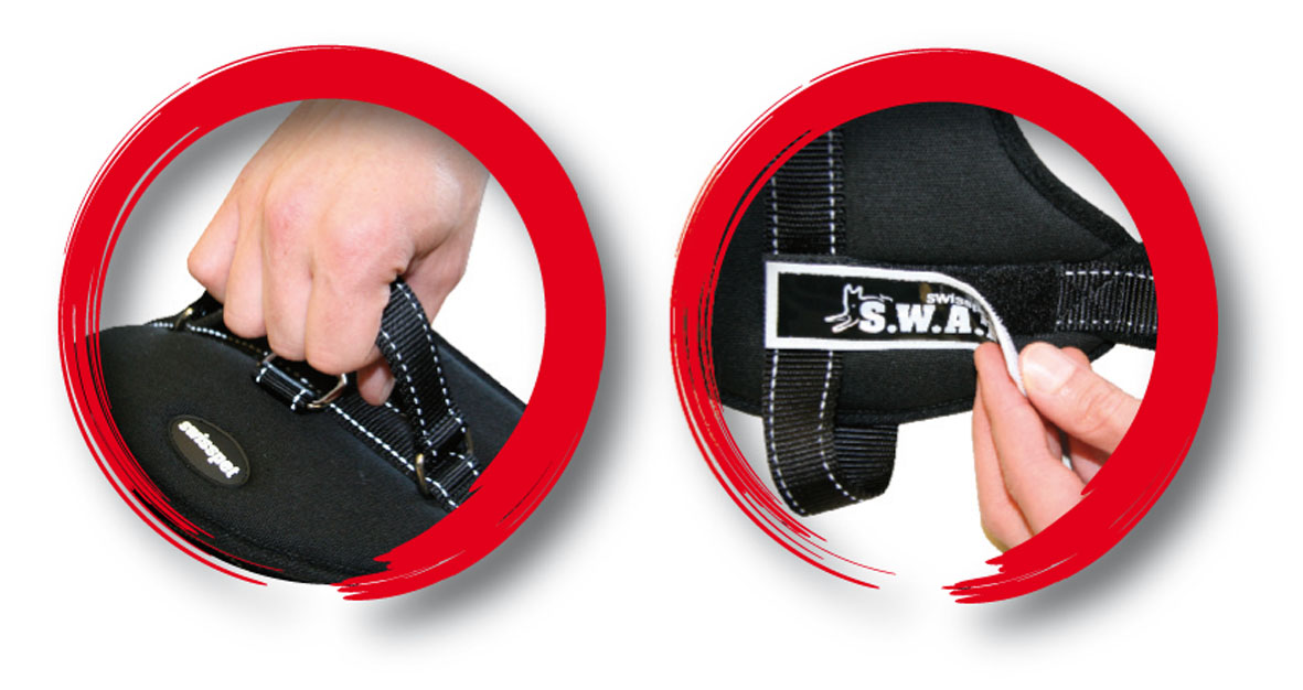swisspet harnais pour chiens S.W.A.T. noir, XL=25mm/80-110cm