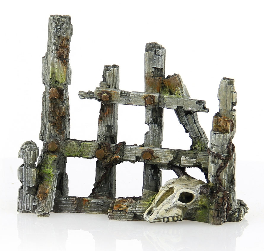 Amazonas Clôture avec crâne