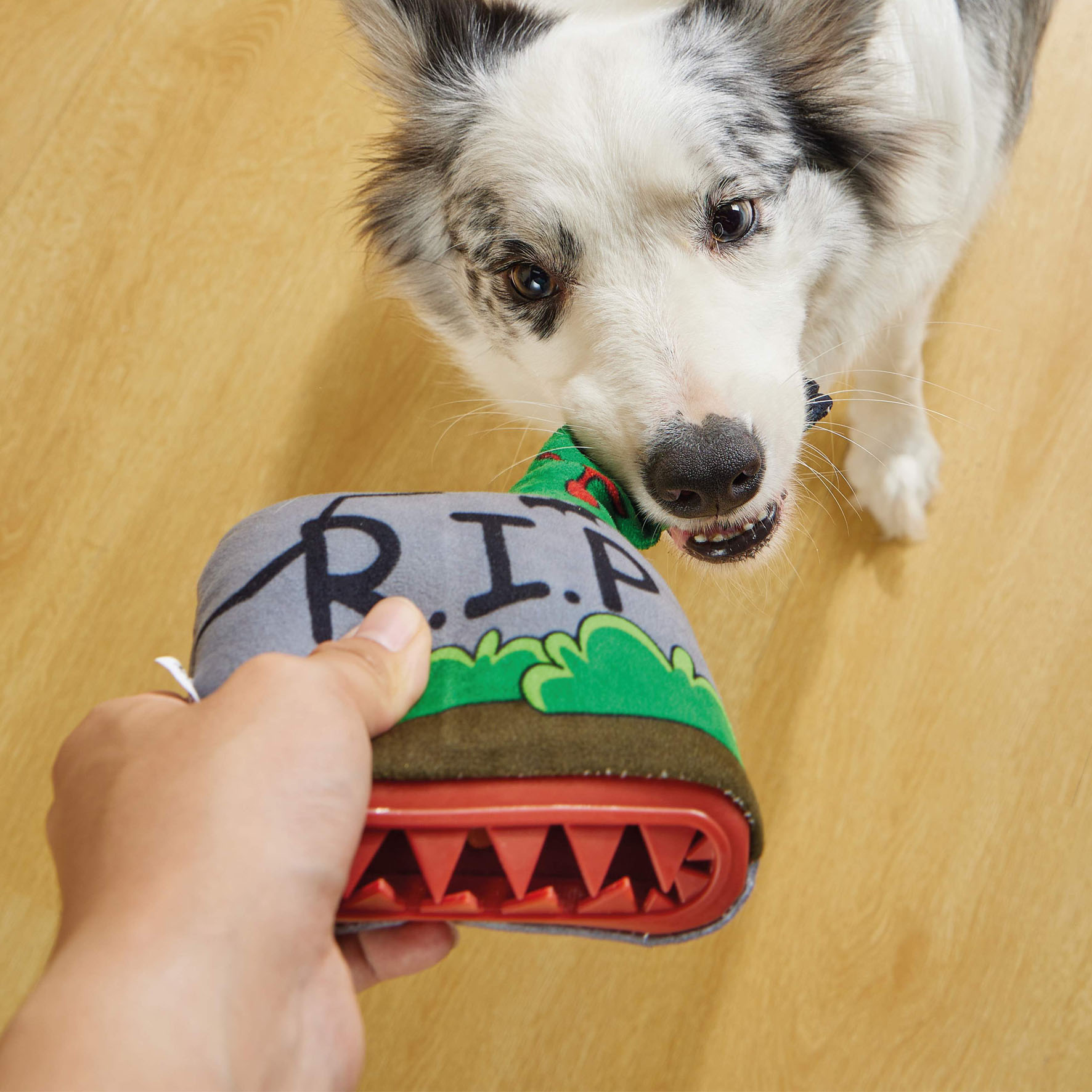 M-Pets Hundespielzeug Tomb, 11 x 5 x 16 cm