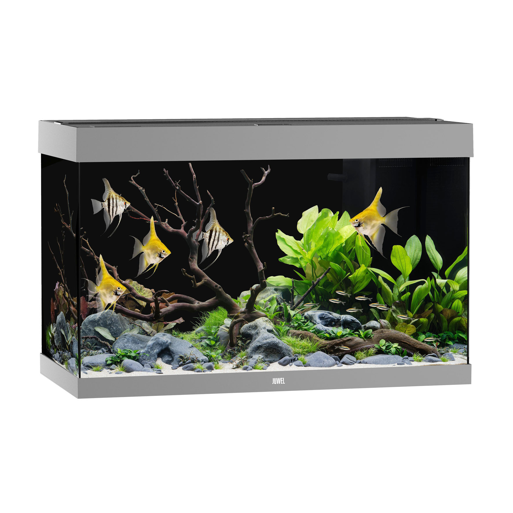 Juwel Aquarium Rio 290, grau