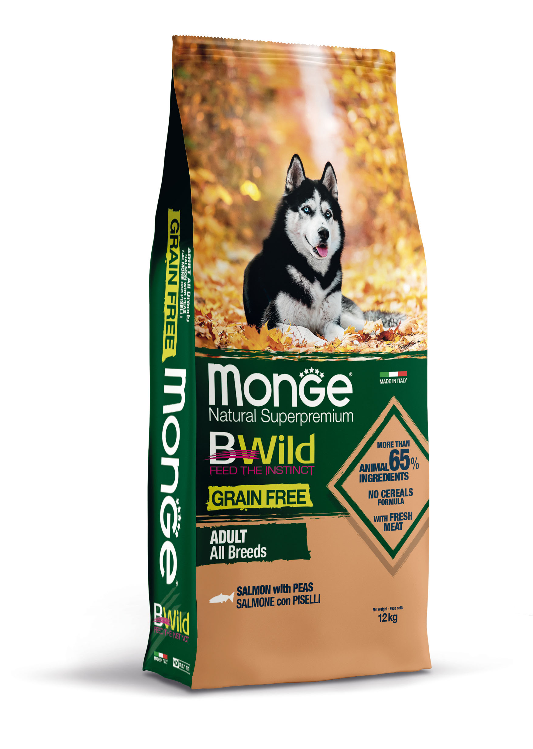 Monge BWild GF Saumon adulte 12kg