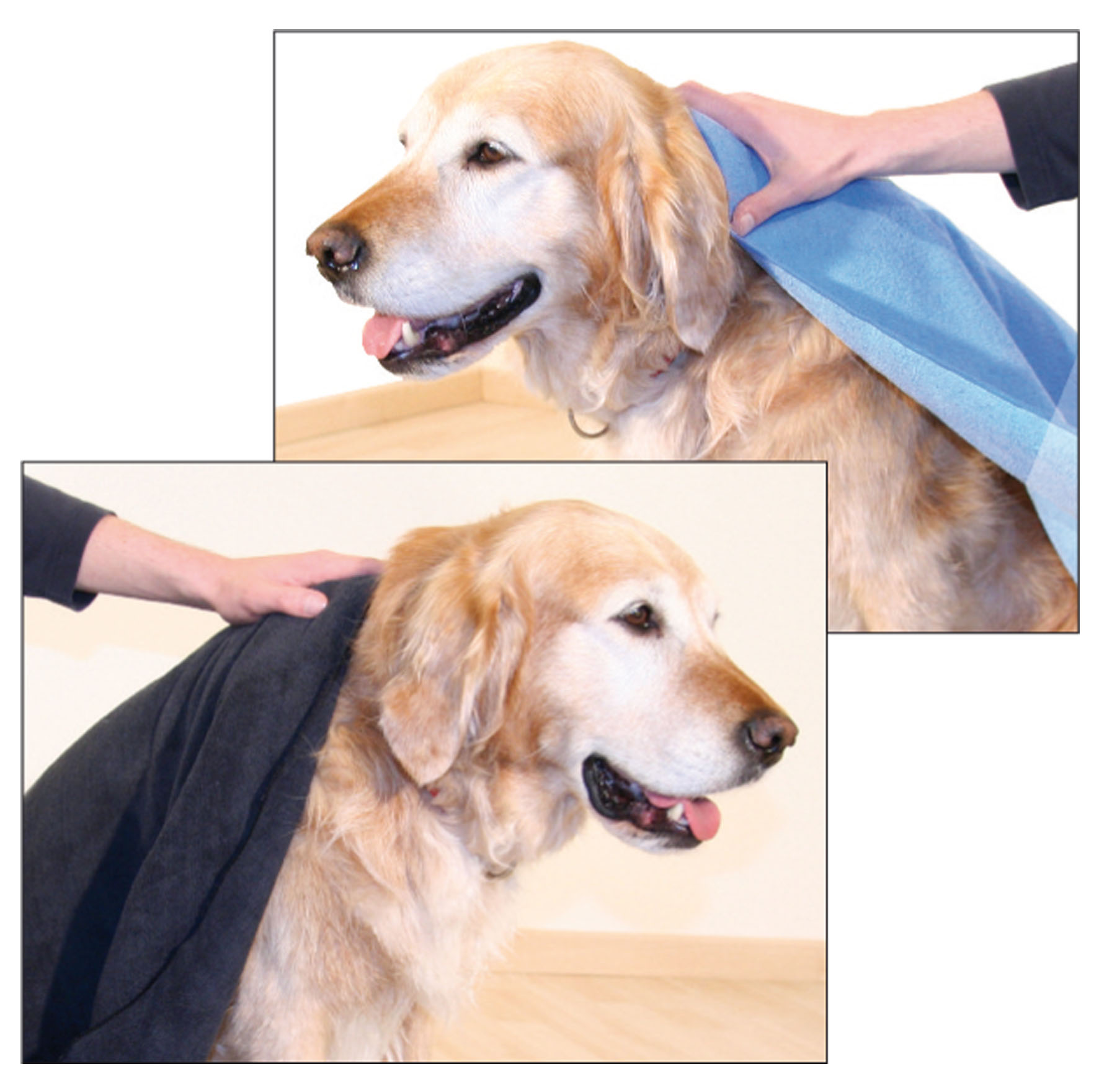 swisspet Mikrofasertuch Micro