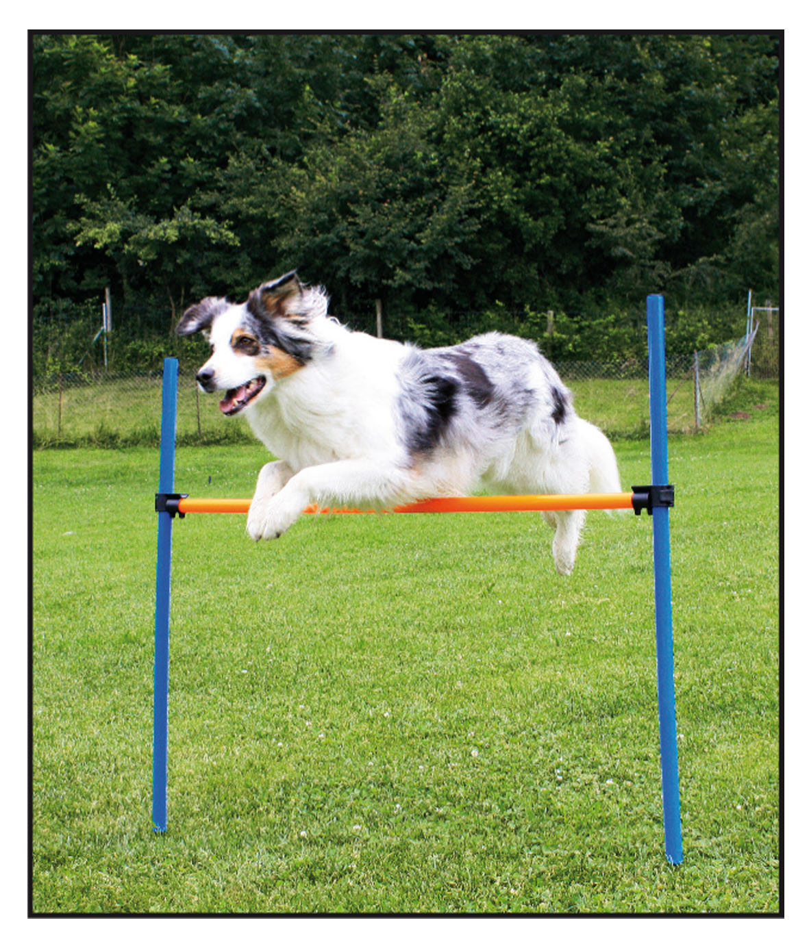 swisspet Agility Hürden Set