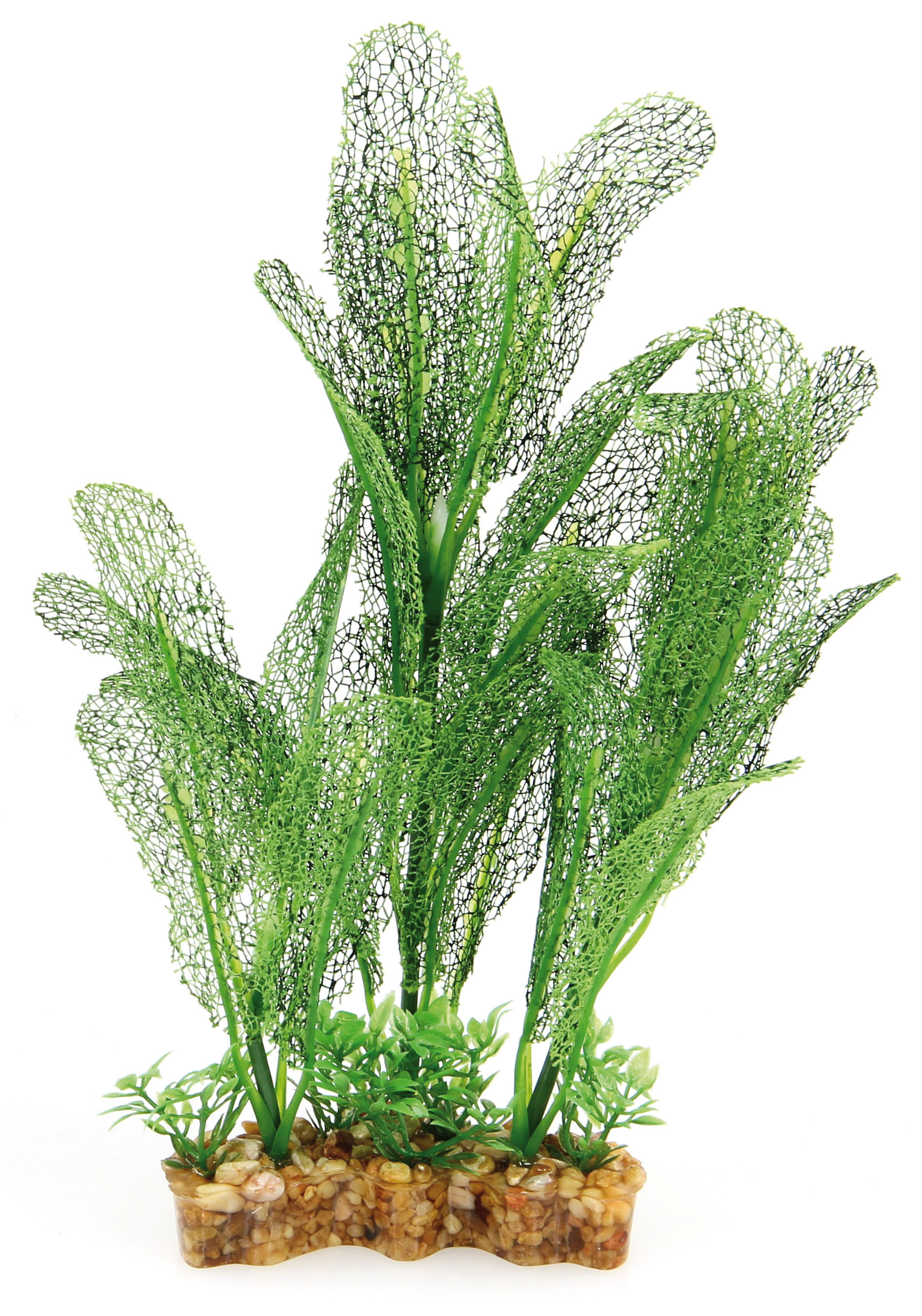 Amazonas Fantasy Plant VSB grün