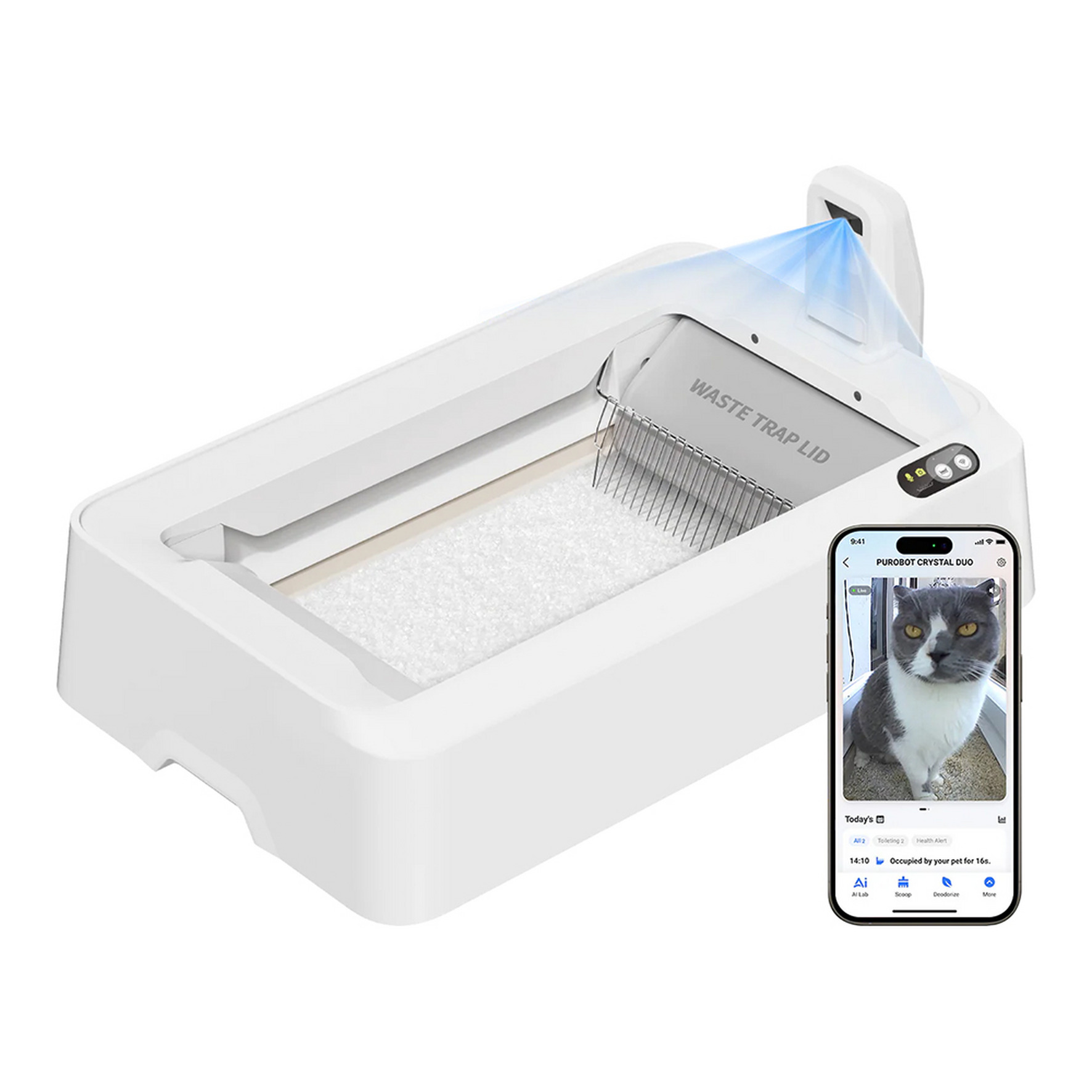 PETKIT PUROBOT CRYSTAL DUO, Toilette per gatti