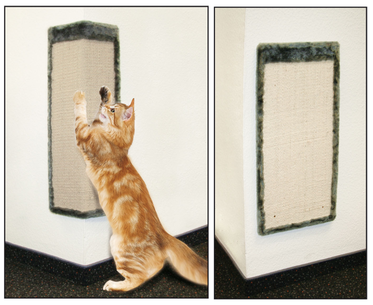 swisspet housse d’angle à gratter