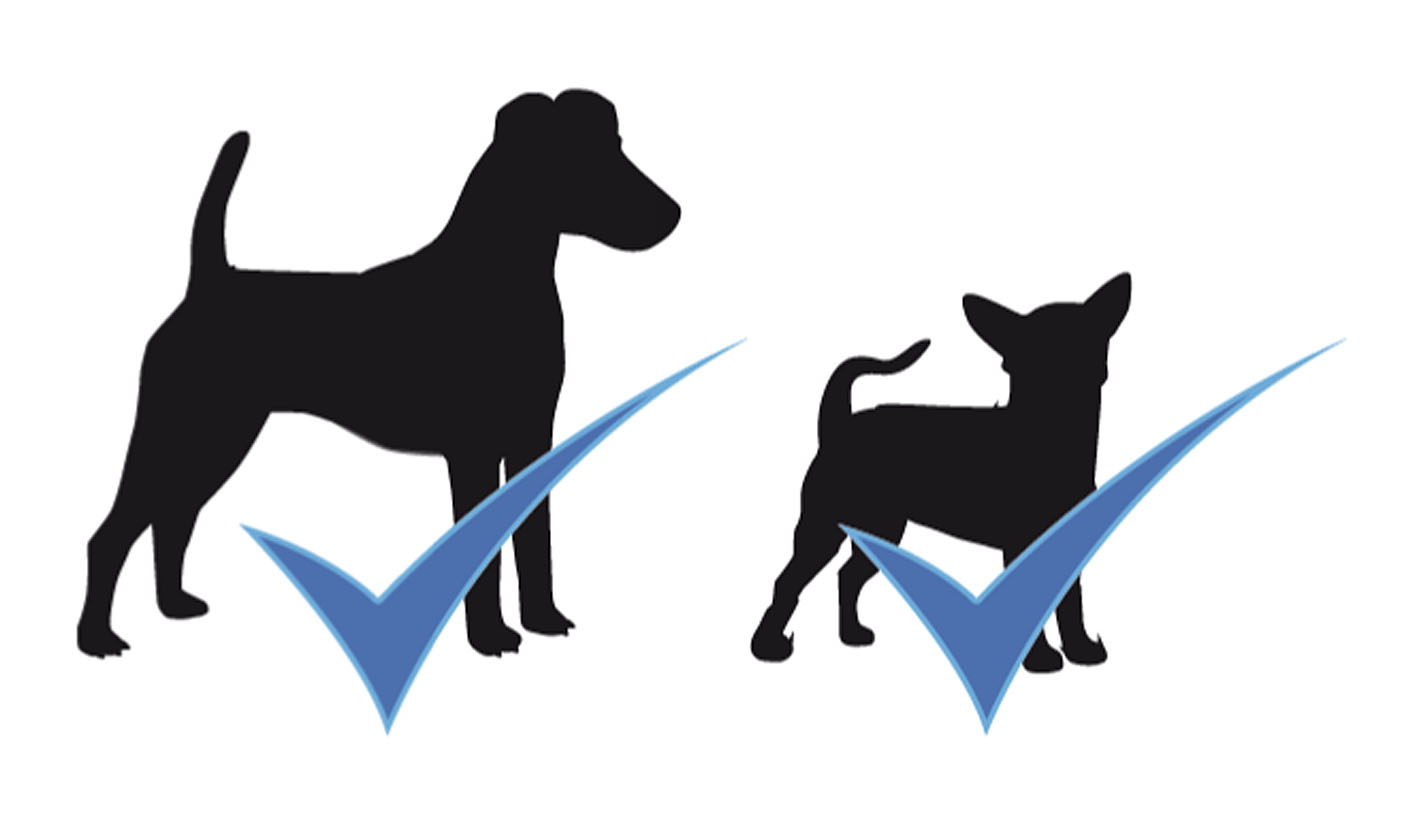 swisspet Hundeweste Dogychiller – gegen Stress