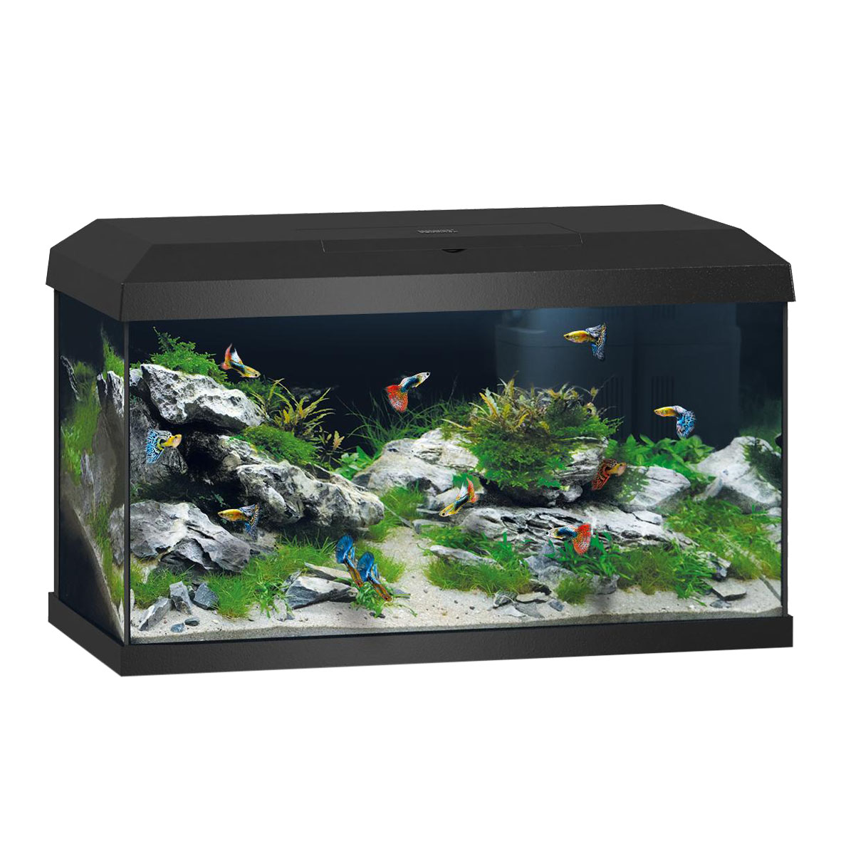 Juwel Aquarium Primo 60 LED 2.0, schwarz