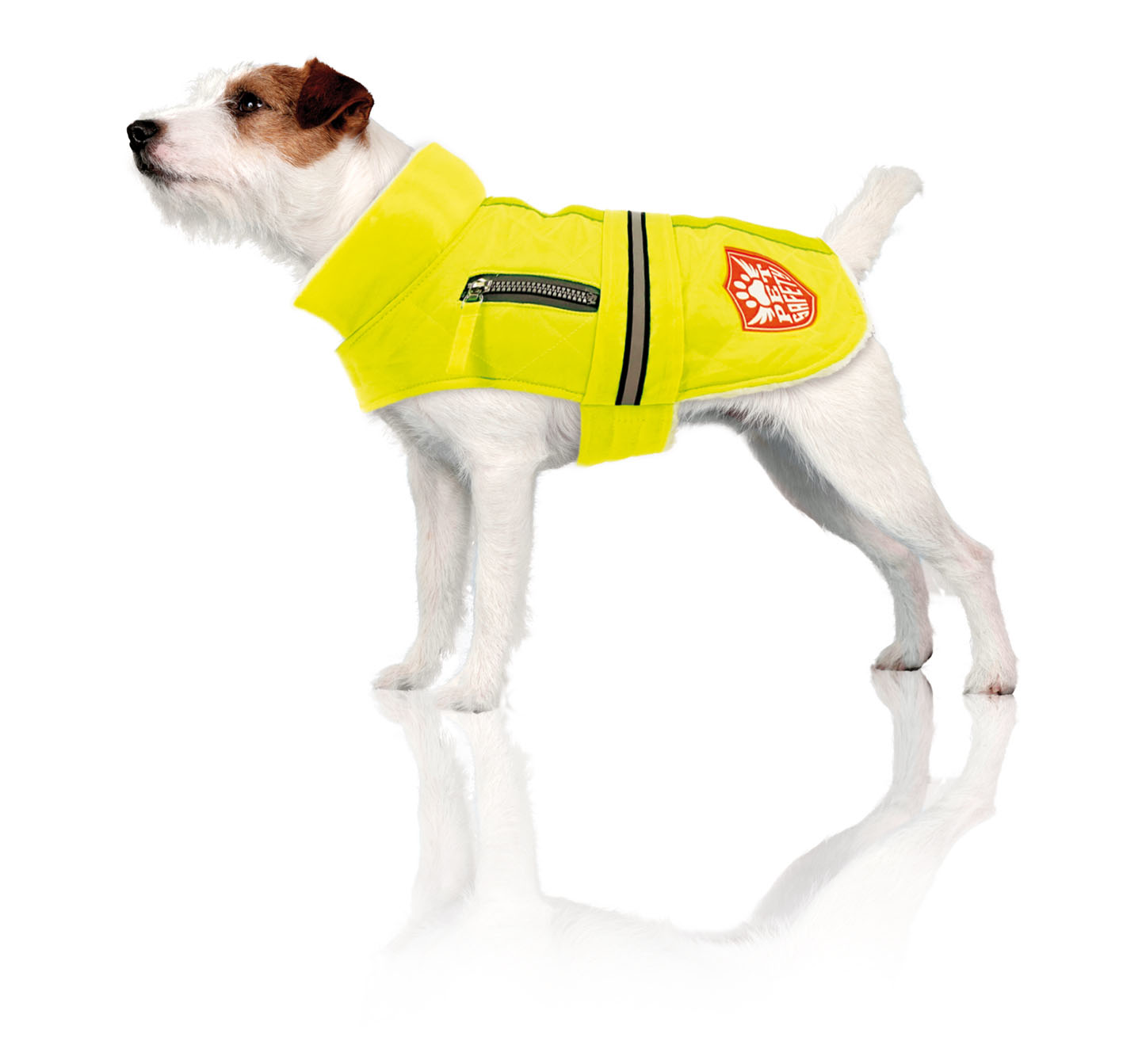 swisspet Winterhundemantel Yellowdome