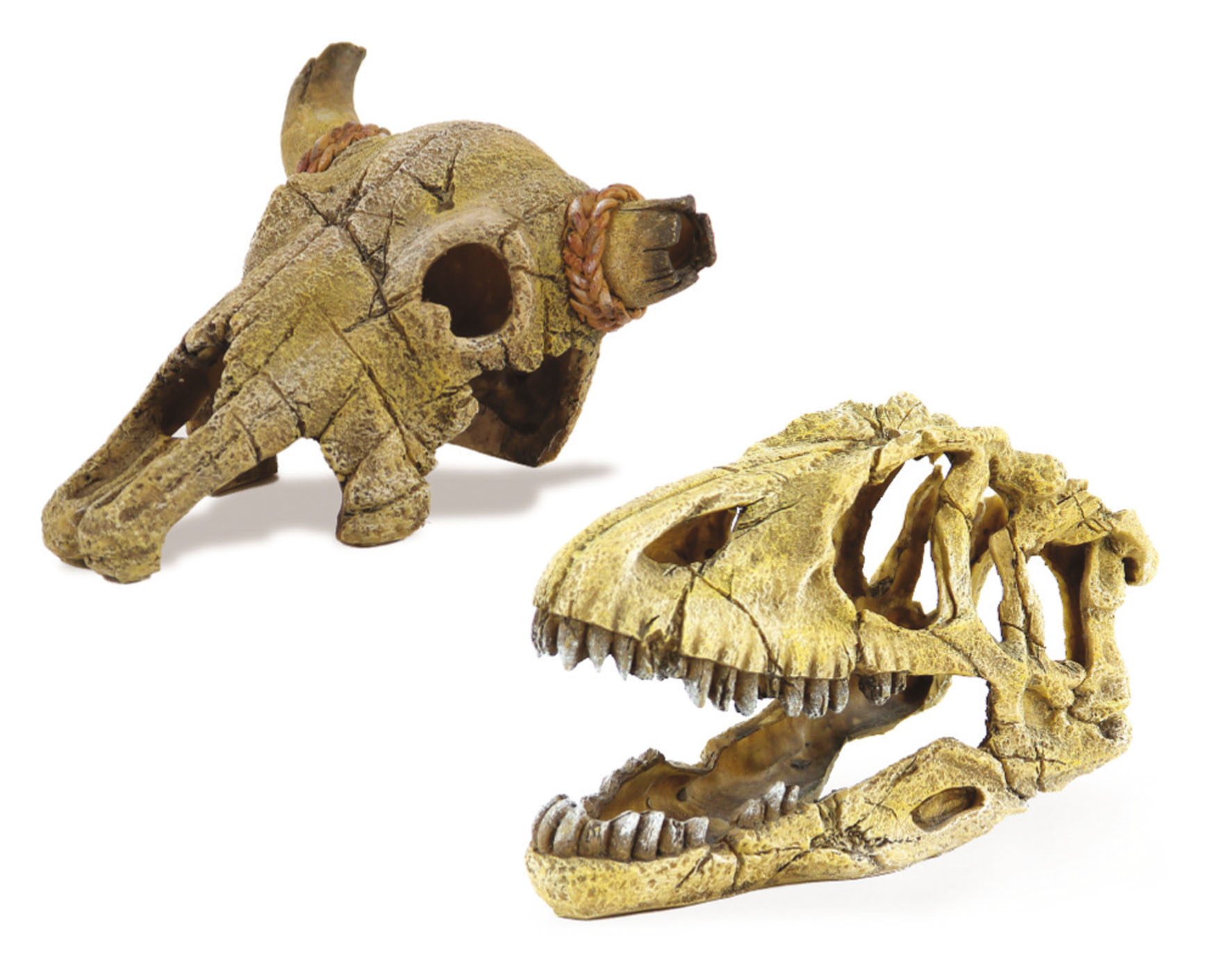 Amazonas Skelettverstecke