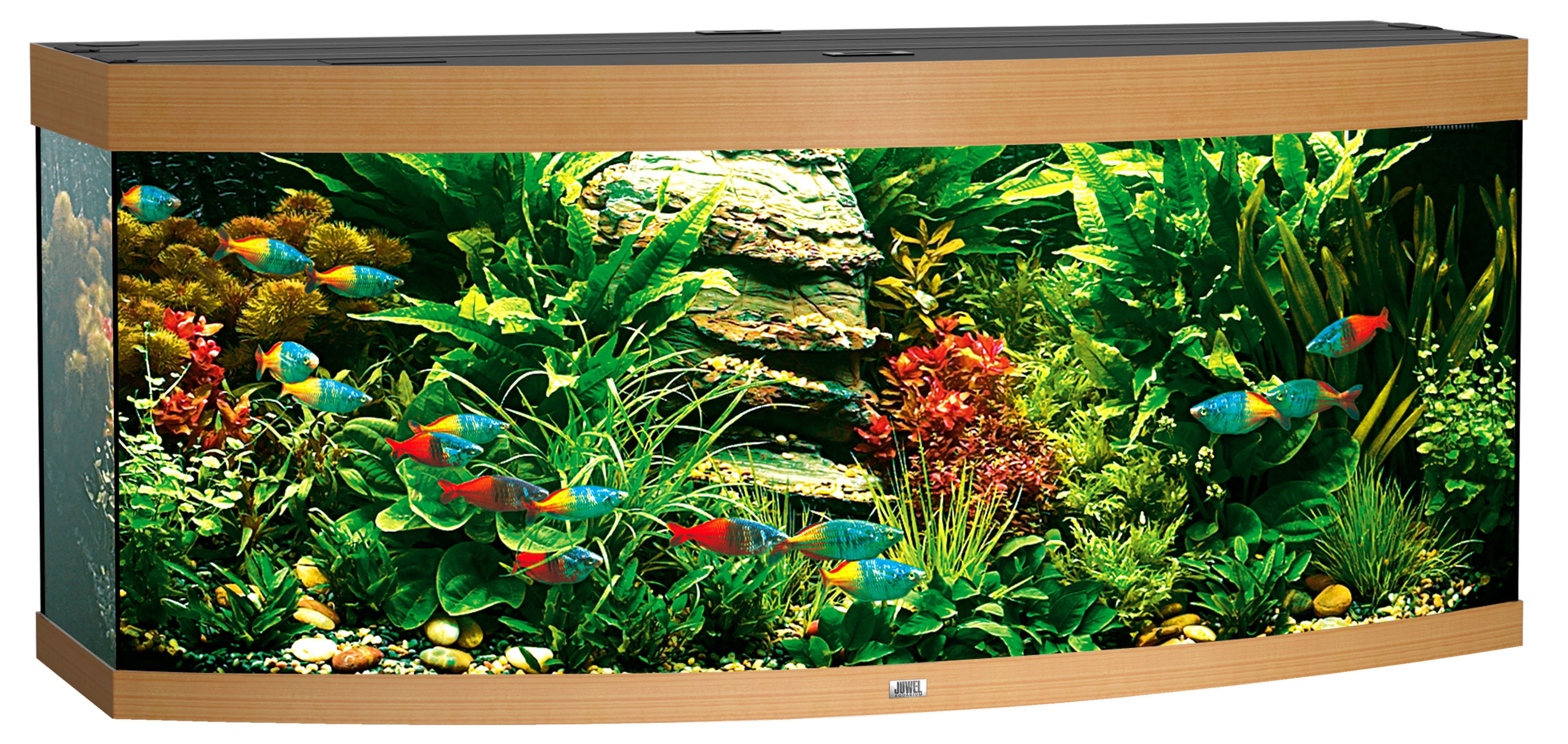 Juwel Aquarium Vision 450, 151x61x64cm, buche