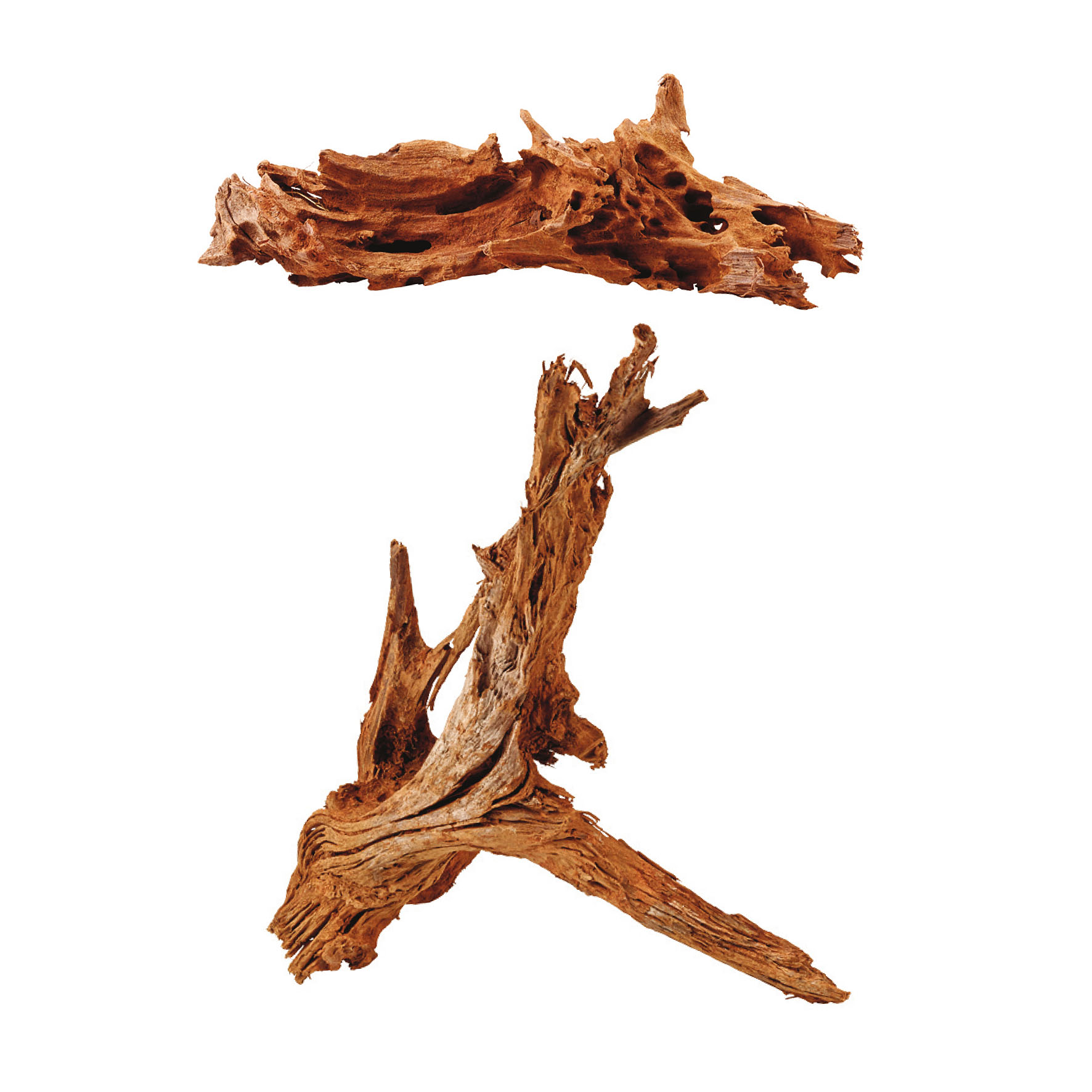 Amazonas Mangrovenholz