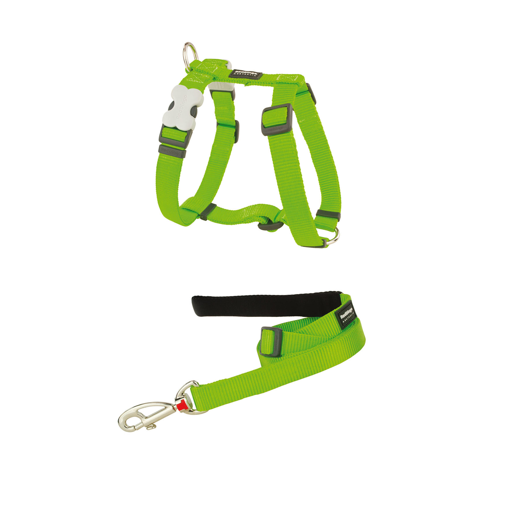 RedDingo Geschirr Plain Classic Lime Grün 