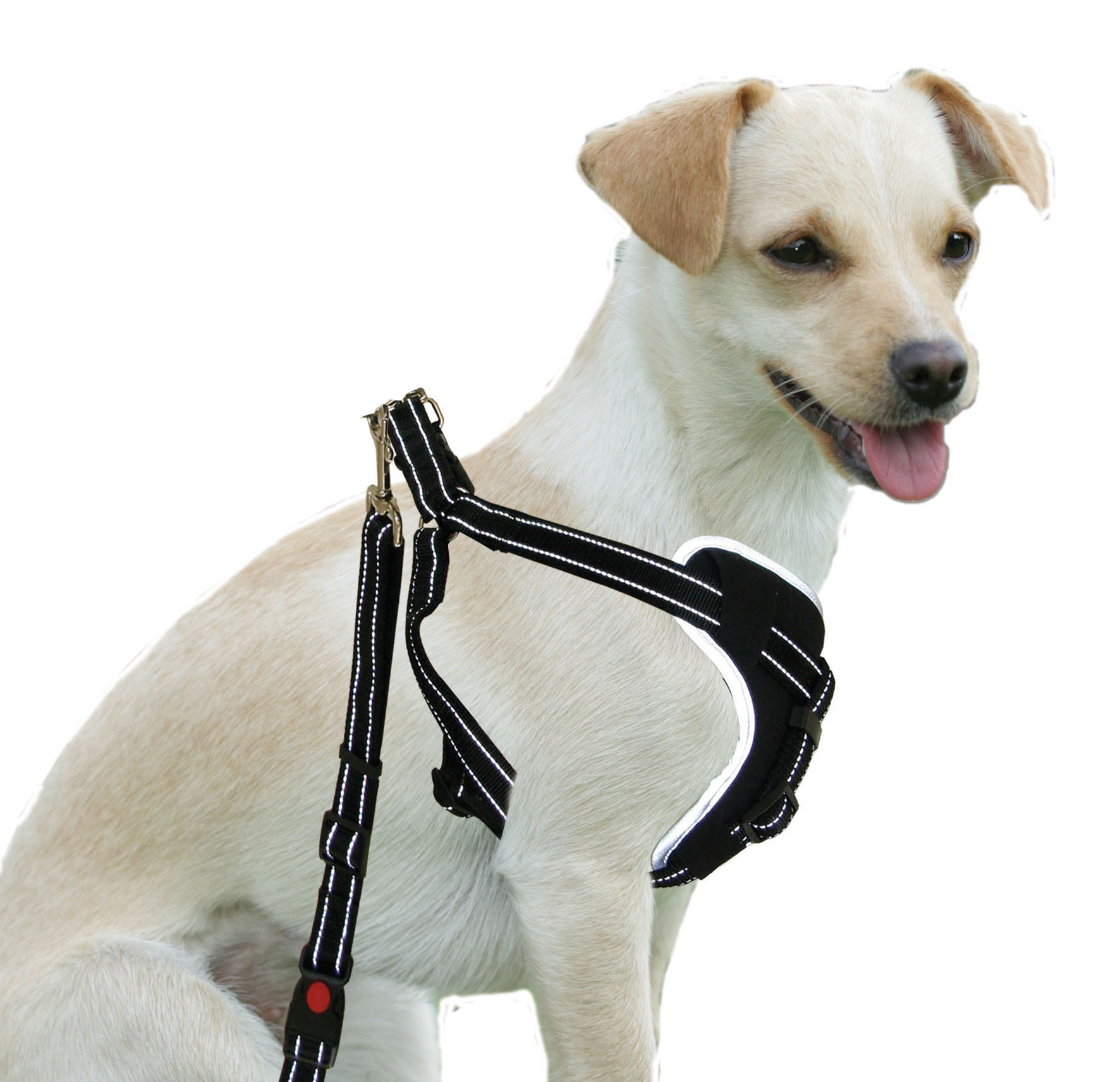 swisspet Hunde-Sicherheitsgeschirr DogSafe