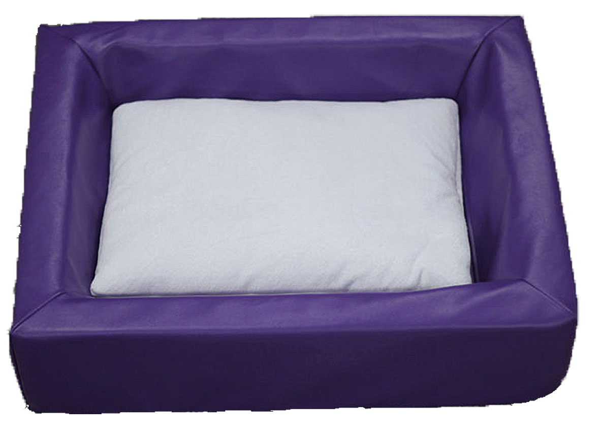 swisspet Letto igienico con cuscino, viola, S: 60x50x14cm