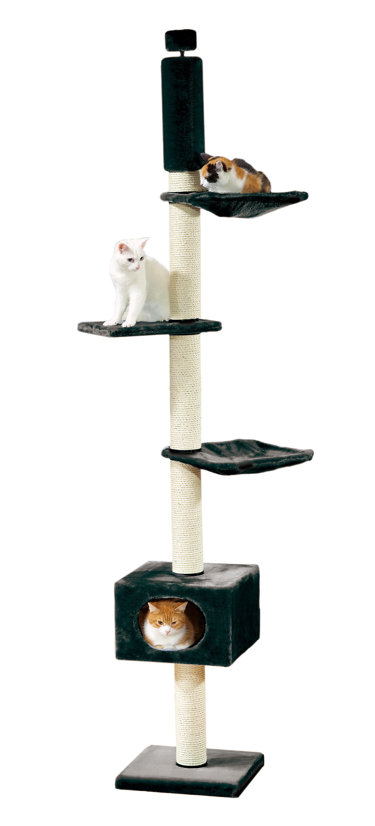 swisspet arbre à chats Ascona, noir