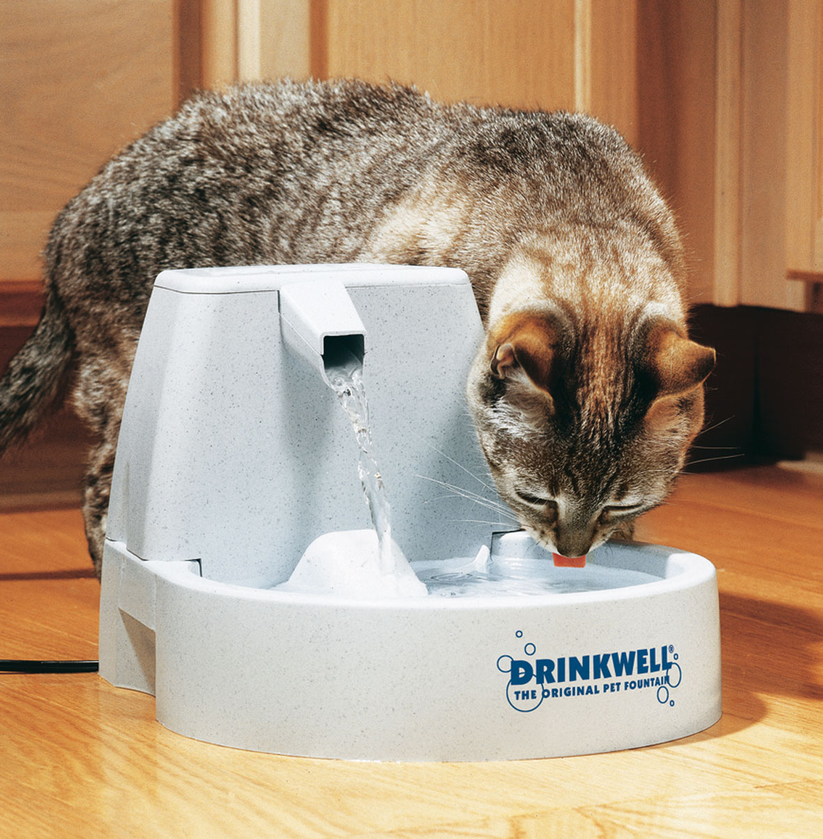 Drinkwell Mini Fontanella d'acqua, 1.2L