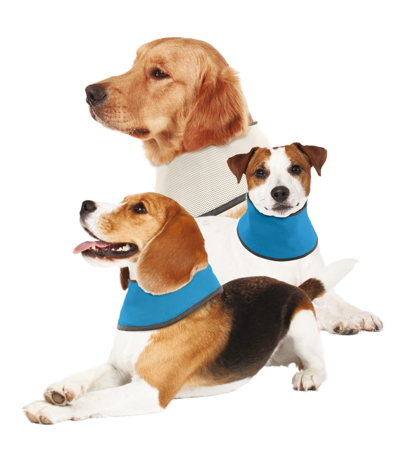 swisspet Kühlhalstuch